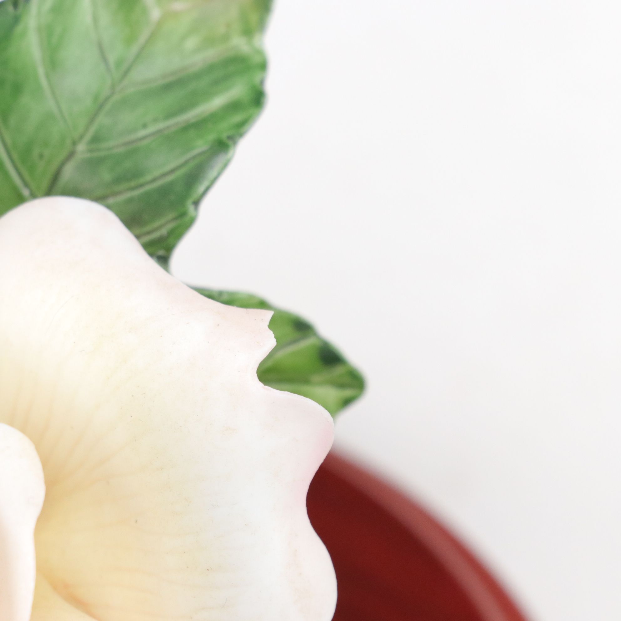 Gilt Porcelain Butter Dish with Salt & Pepper, Mid-Century Swan Planter and More