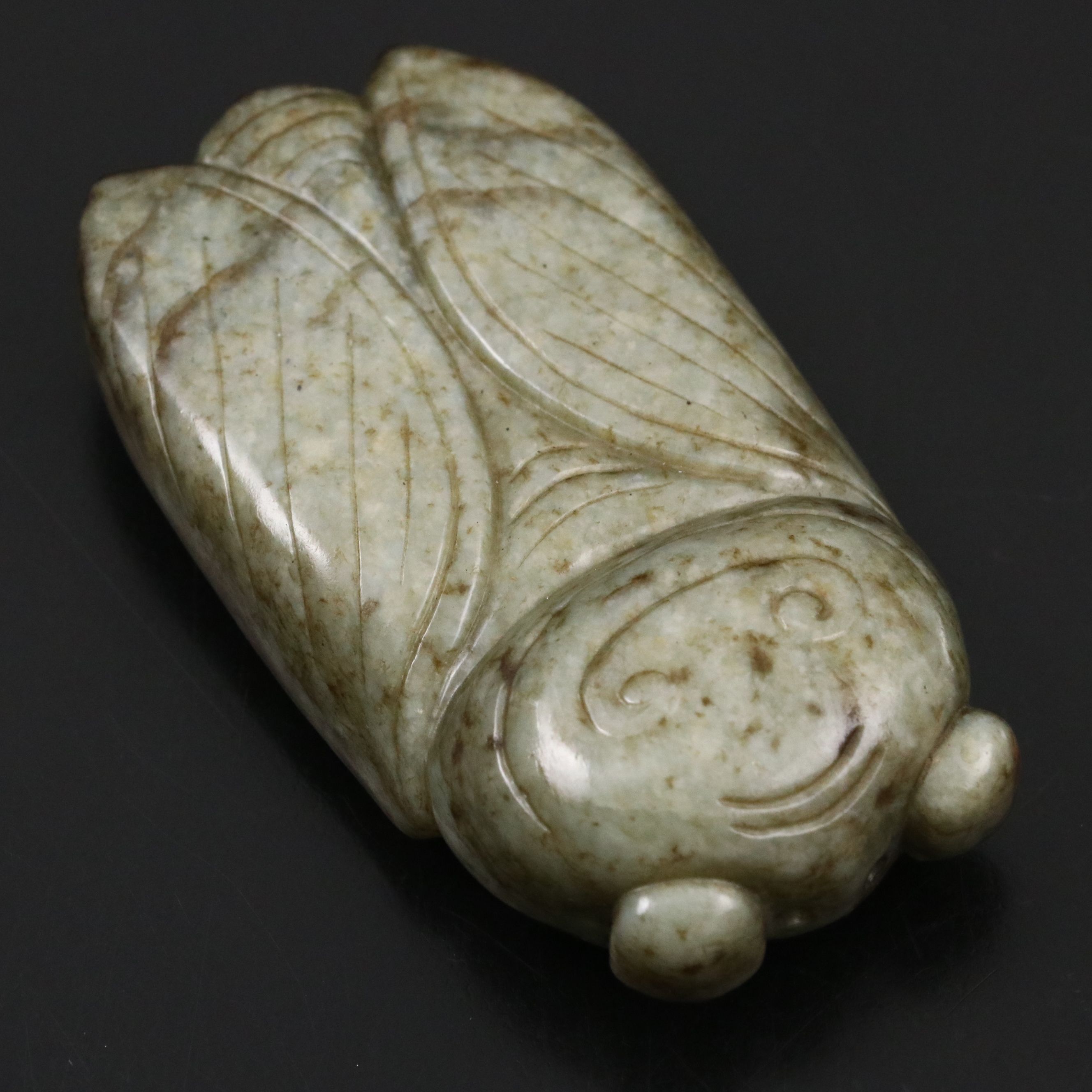 Chinese Carved Serpentine Cicada