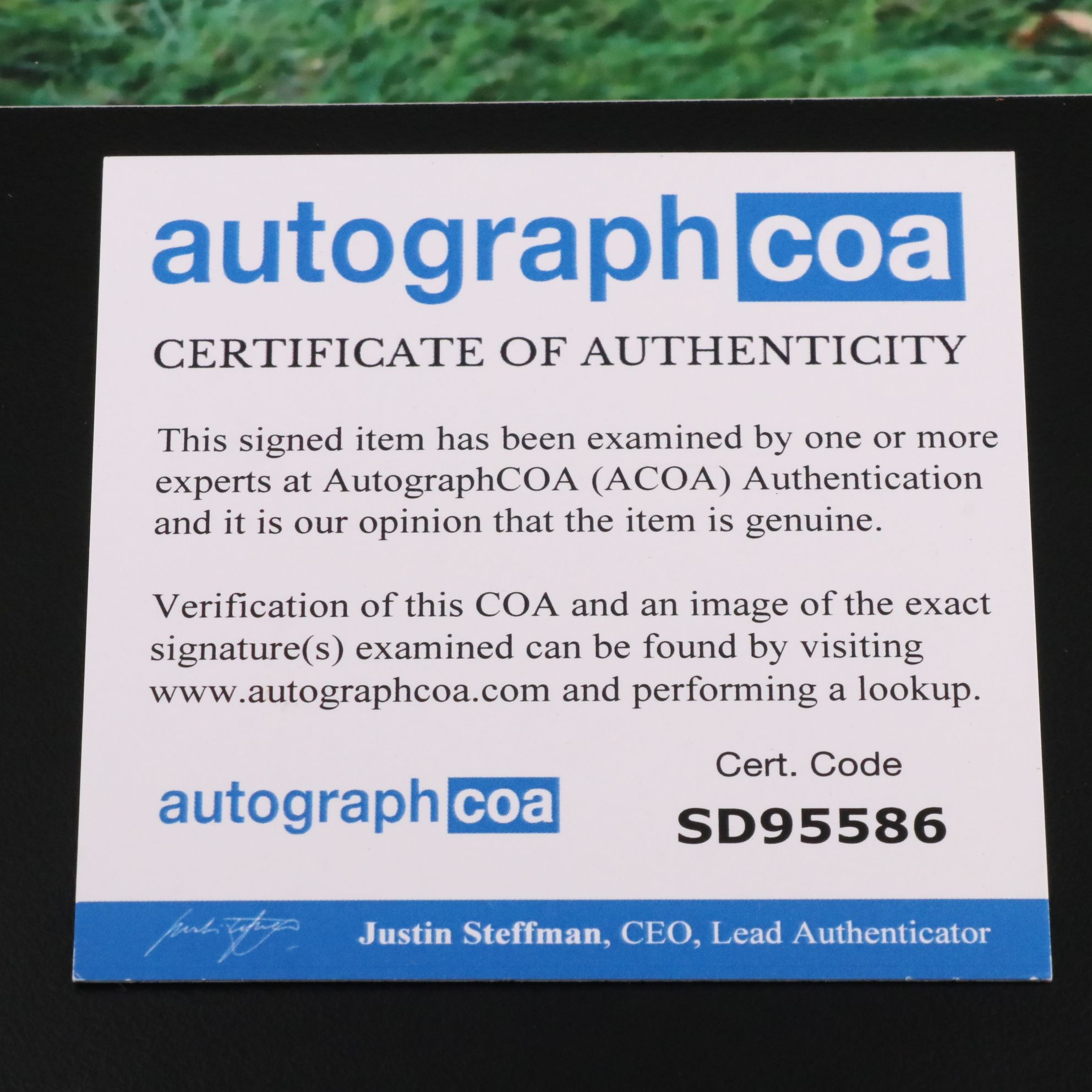 Jacqueline Bisset Signed Print