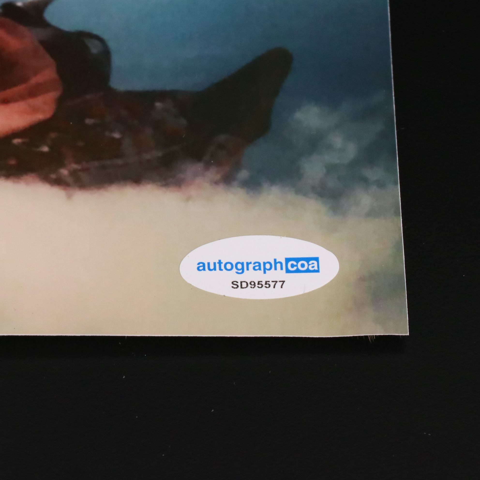 Barbara Eden Signed "I Dream of Jeannie" TV Print