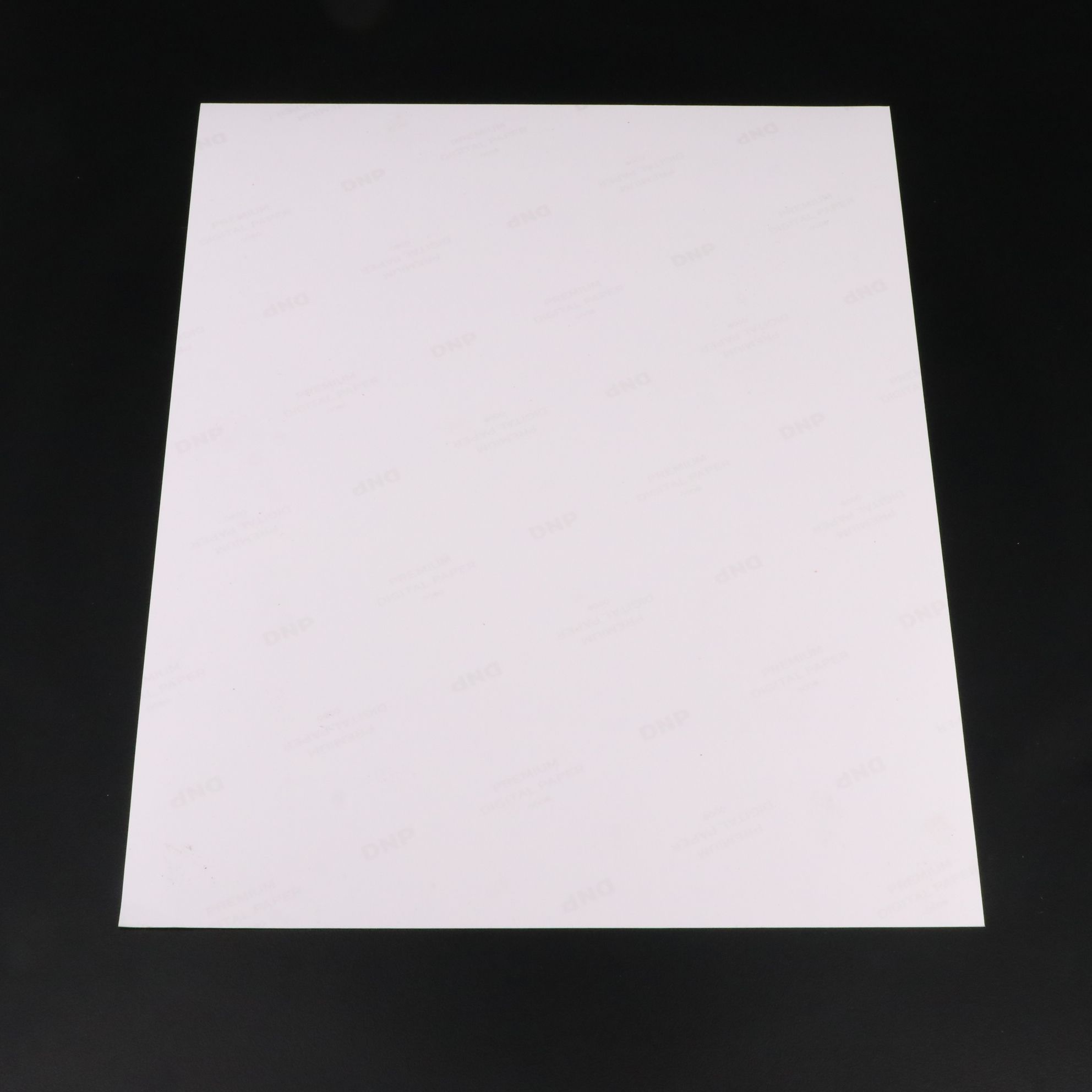 Barbara Eden Signed "I Dream of Jeannie" TV Print