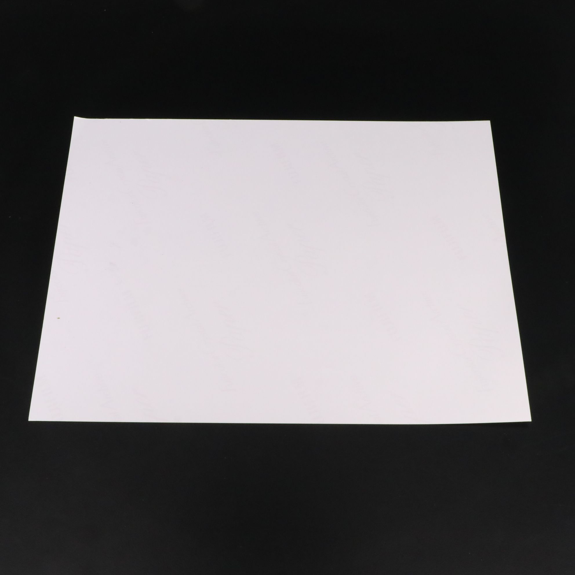 Jacqueline Bisset Signed Movie Print