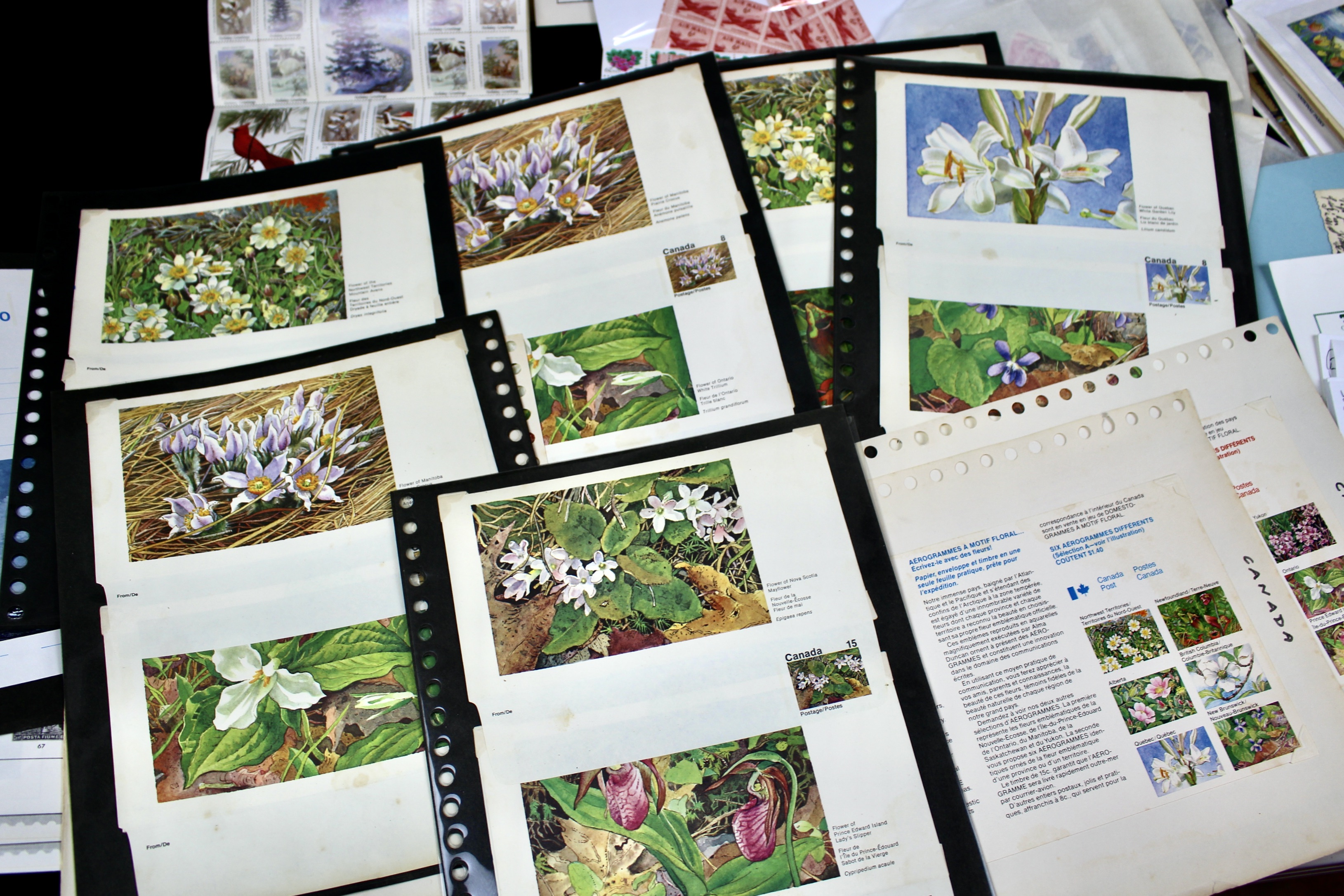 Eleven Pound Box of Stamps Most of Which are Foreign