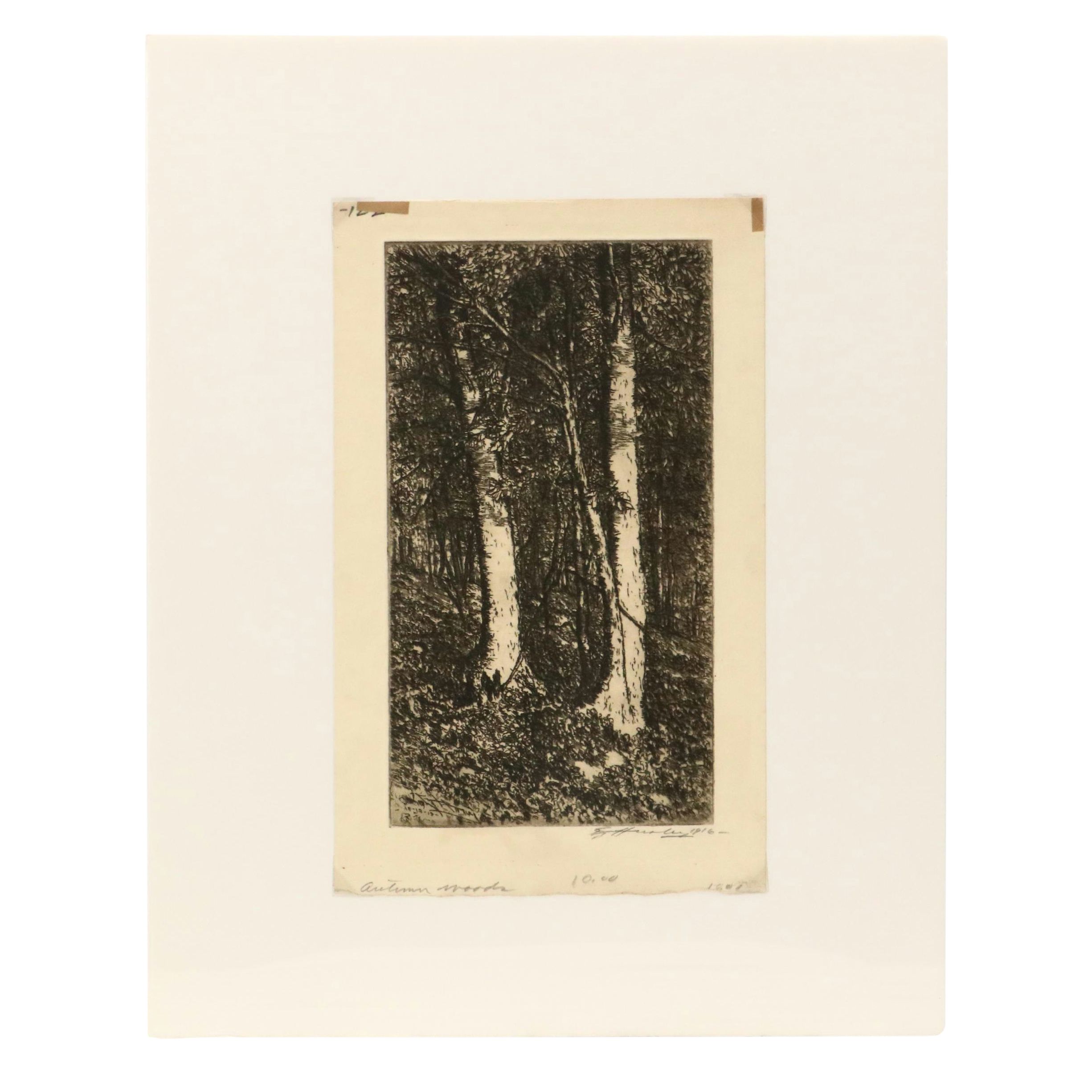 Edward Timothy Hurley Etching "Autumn Woods," 1916