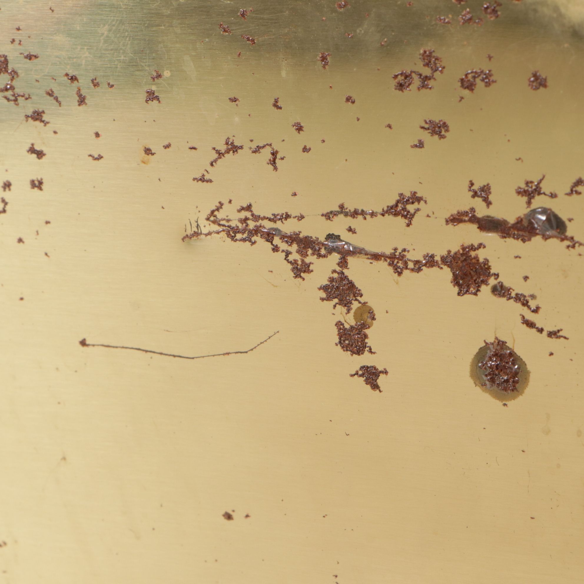 Brass-Finish Cedar-Lined Trunk