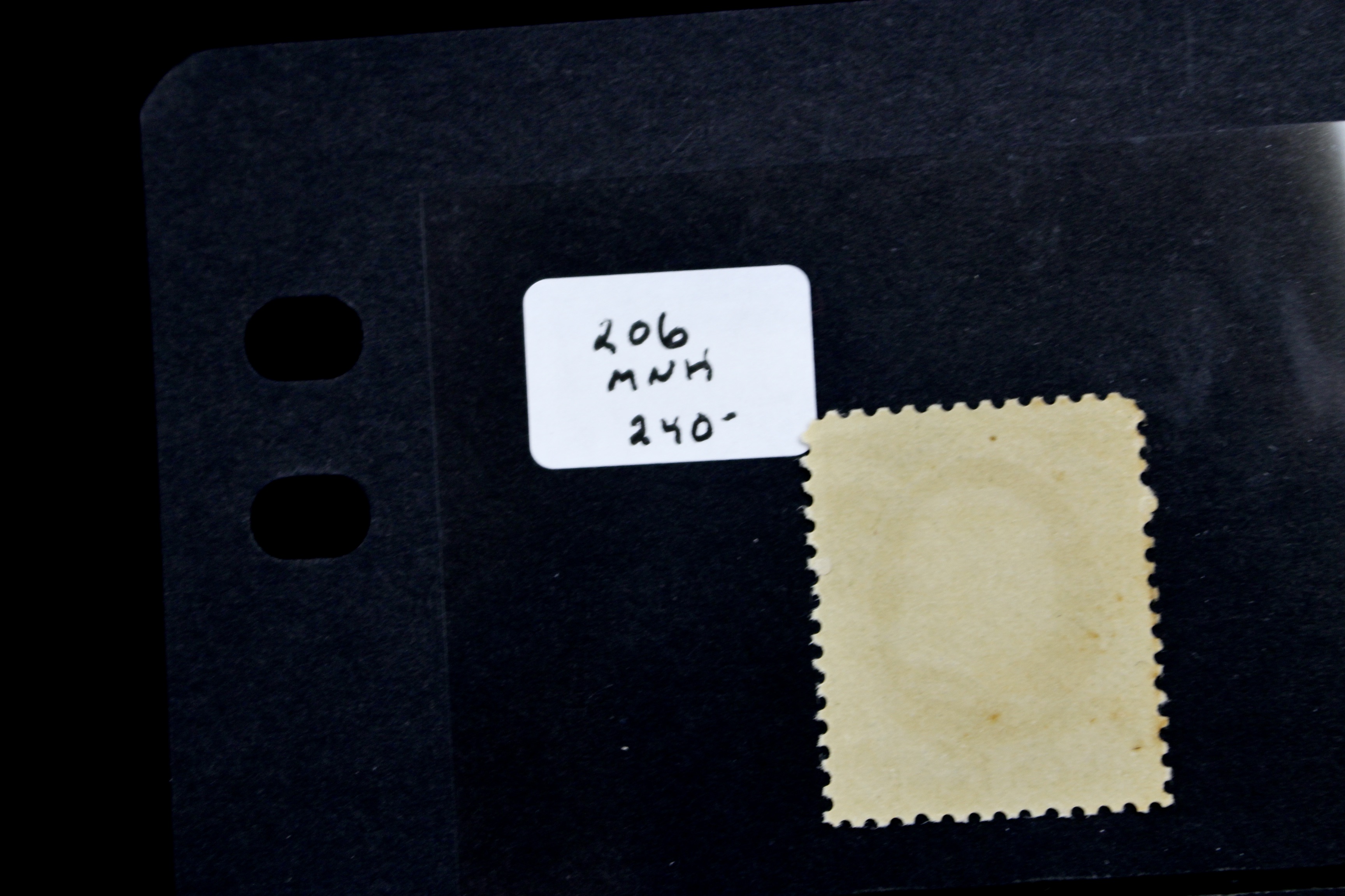 Five Early MNH U.S. Stamps Including Scott#s 206, 207, 210, 212, and 213