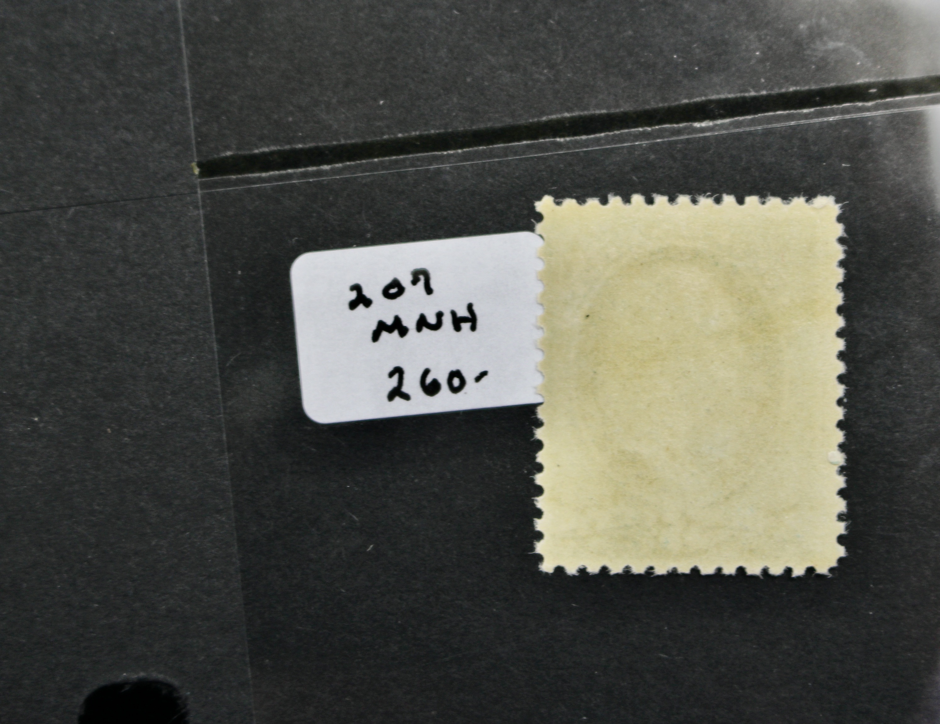 Five Early MNH U.S. Stamps Including Scott#s 206, 207, 210, 212, and 213