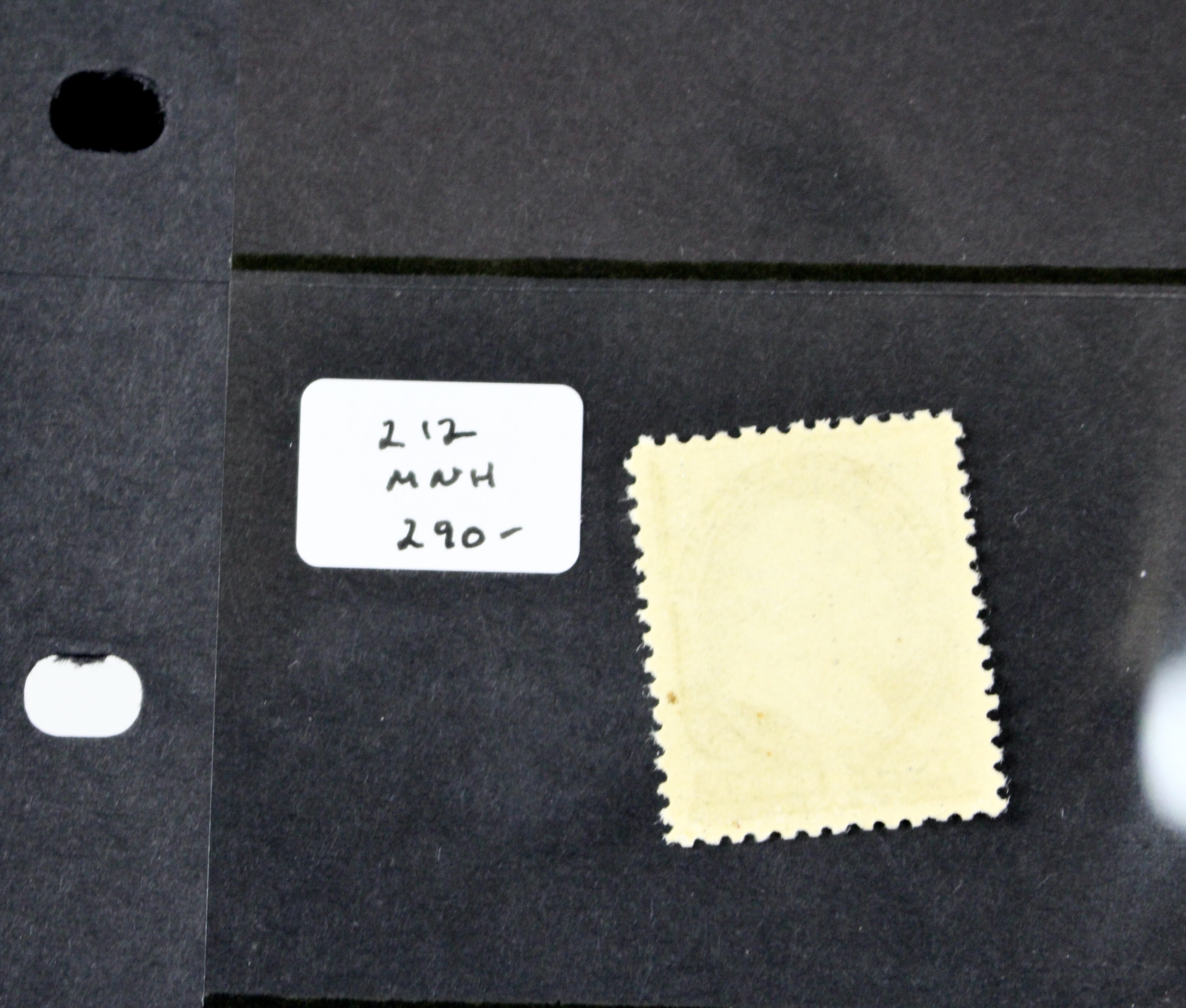 Five Early MNH U.S. Stamps Including Scott#s 206, 207, 210, 212, and 213