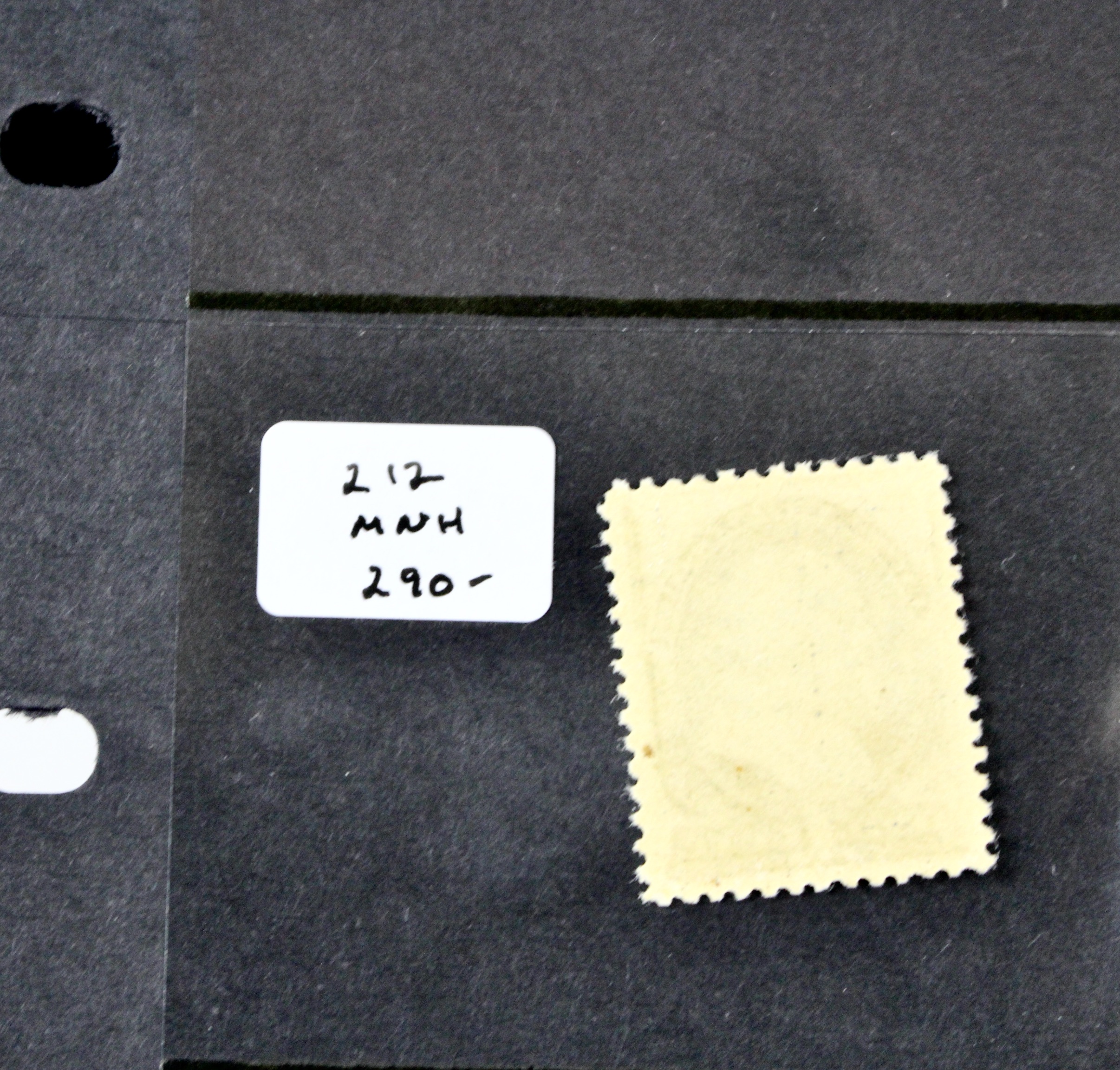 Five Early MNH U.S. Stamps Including Scott#s 206, 207, 210, 212, and 213