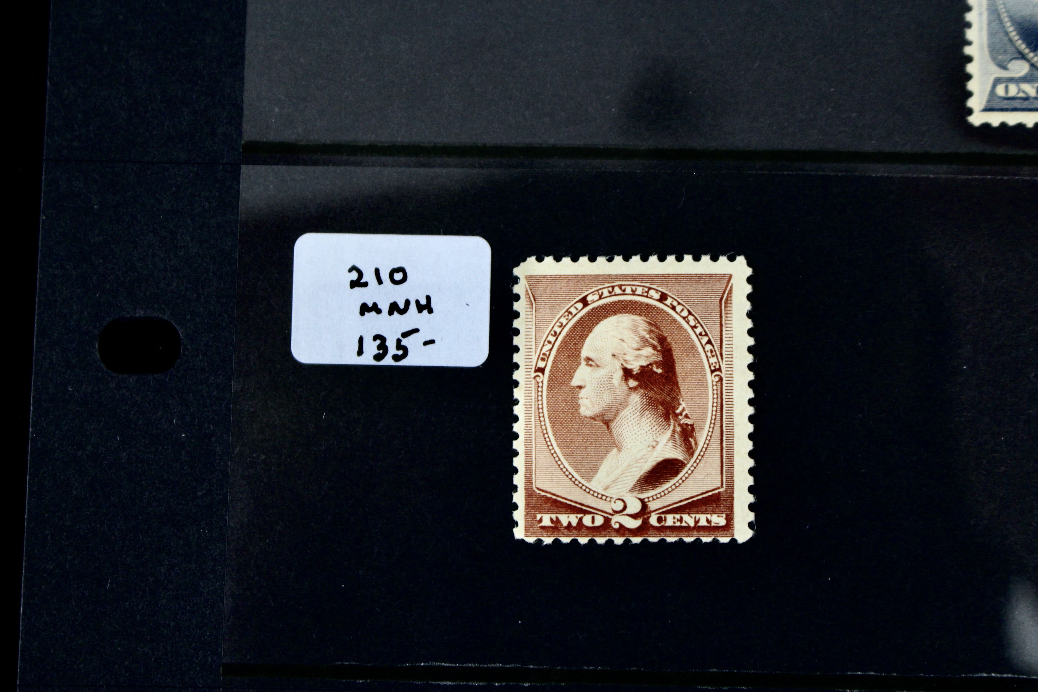 Five Early MNH U.S. Stamps Including Scott#s 206, 207, 210, 212, and 213