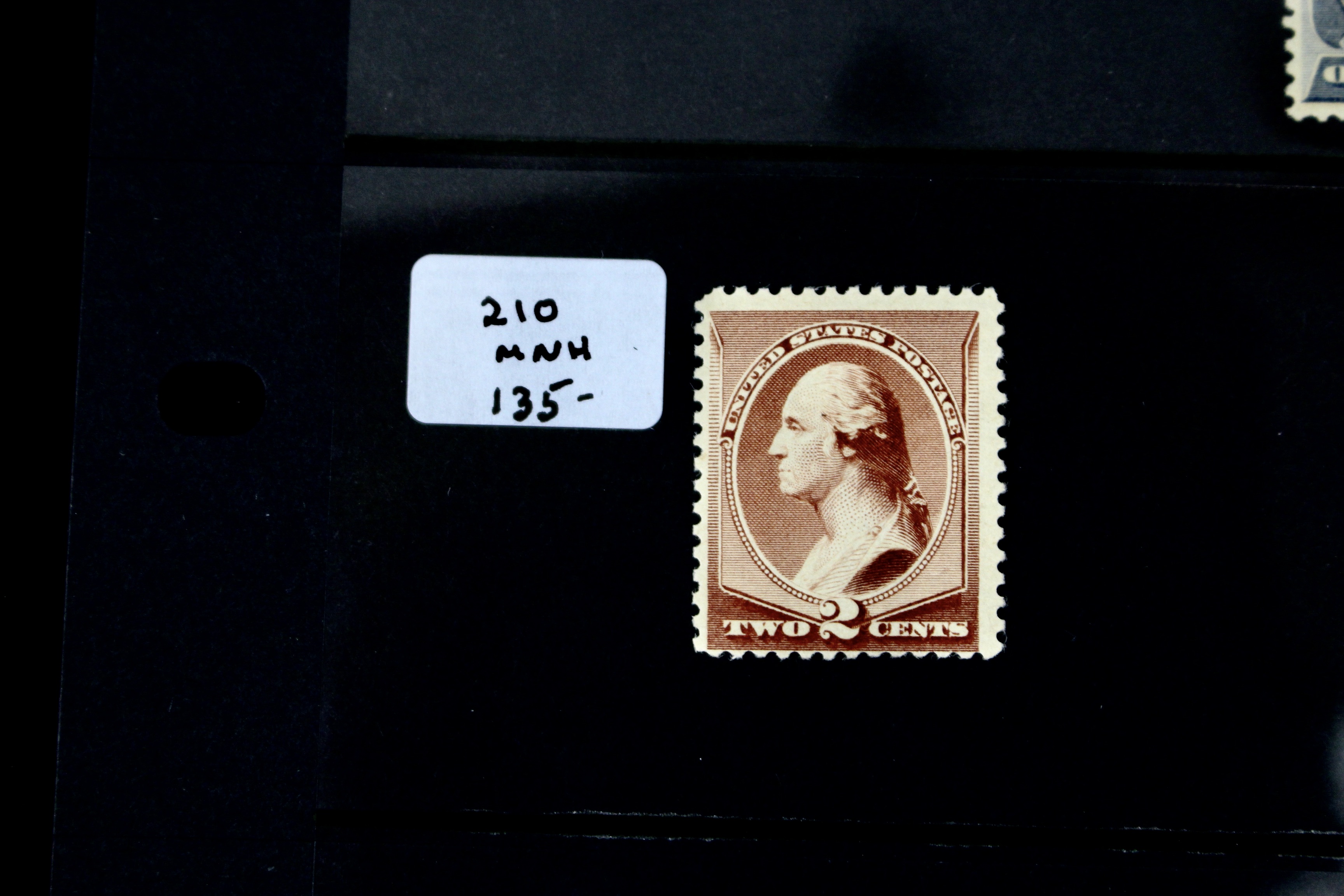 Five Early MNH U.S. Stamps Including Scott#s 206, 207, 210, 212, and 213