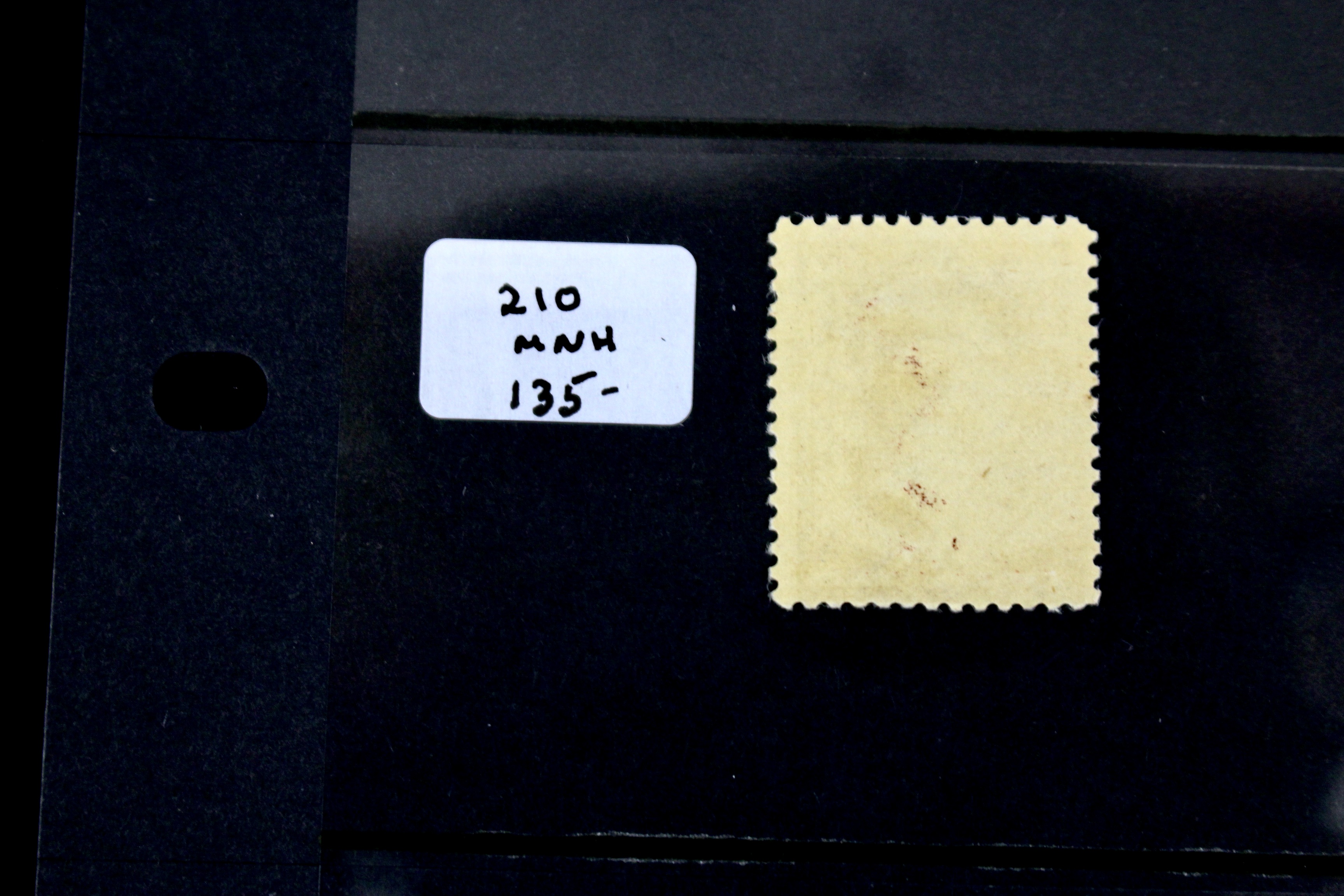 Five Early MNH U.S. Stamps Including Scott#s 206, 207, 210, 212, and 213