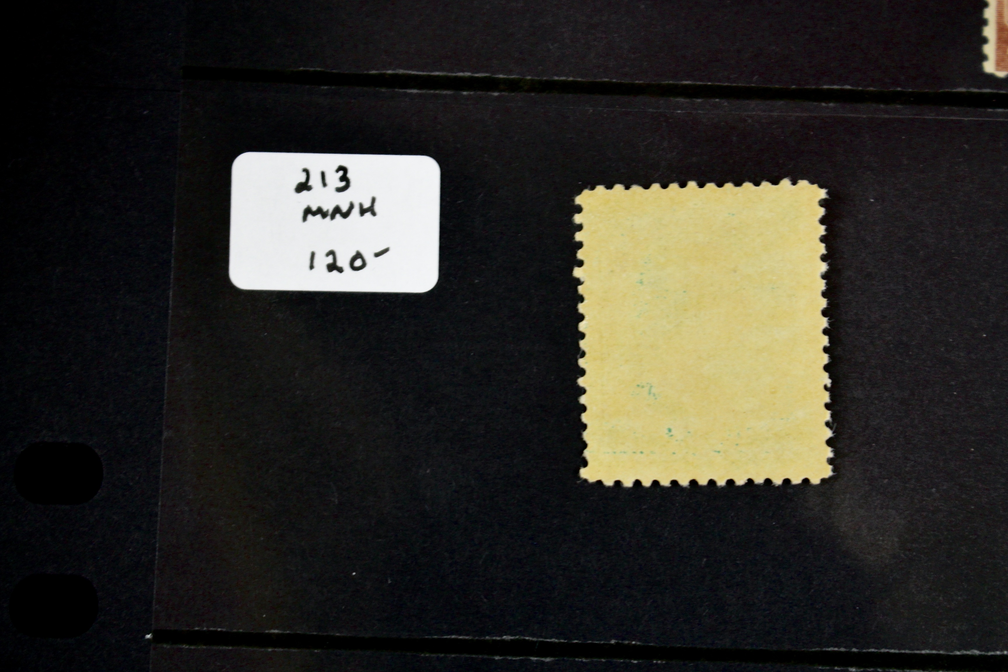 Five Early MNH U.S. Stamps Including Scott#s 206, 207, 210, 212, and 213