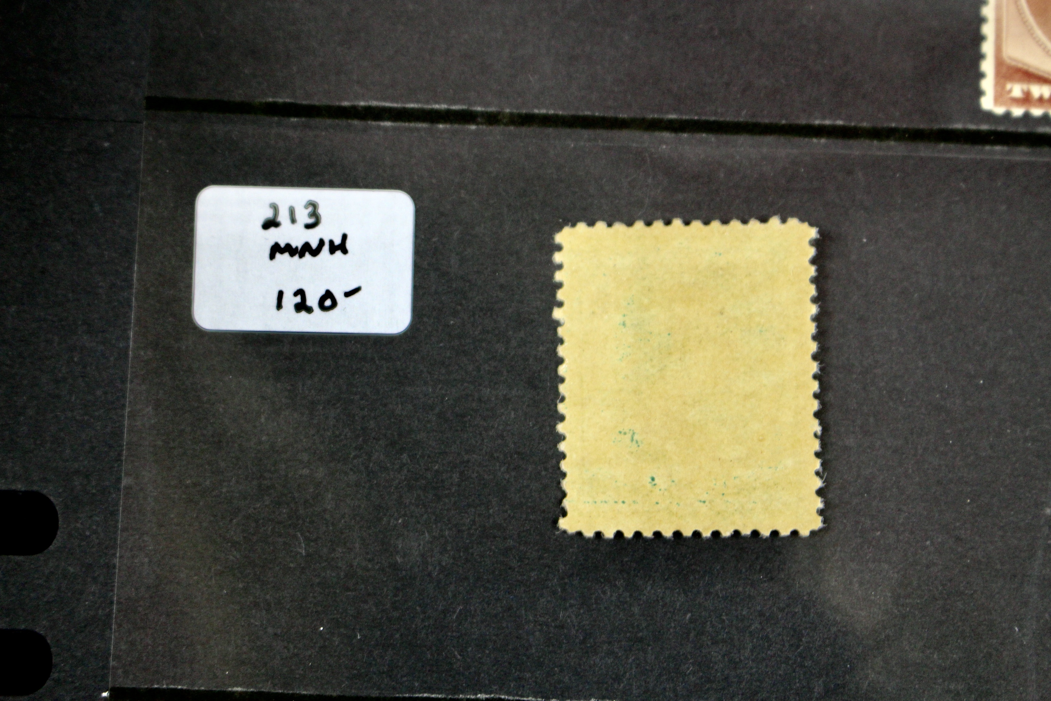 Five Early MNH U.S. Stamps Including Scott#s 206, 207, 210, 212, and 213