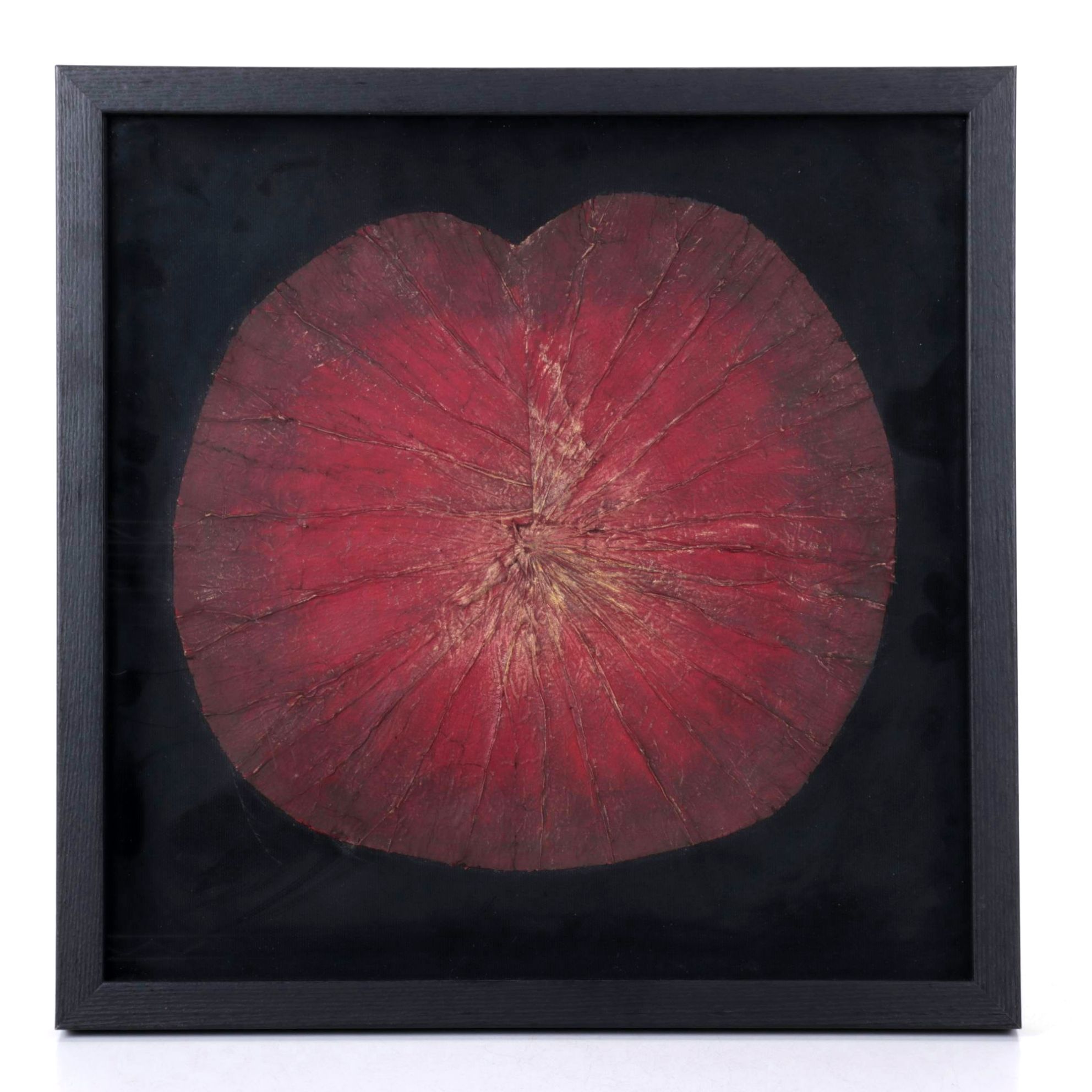 Crimson & Gilt Painted Lily Pad Shadowbox