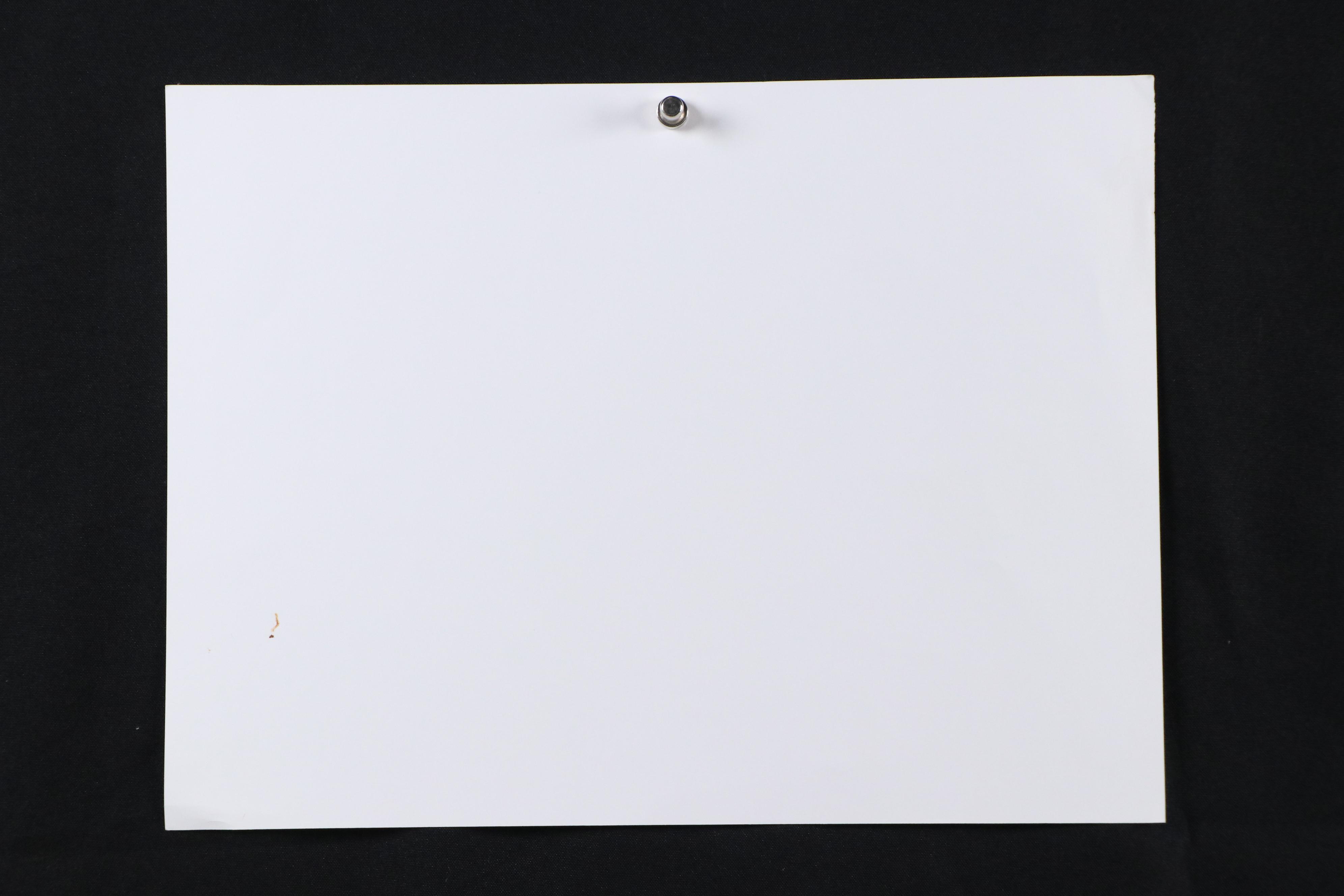 Flora Rosefsky Judaic Photomechanical Print "Shabbat Florage," 1992