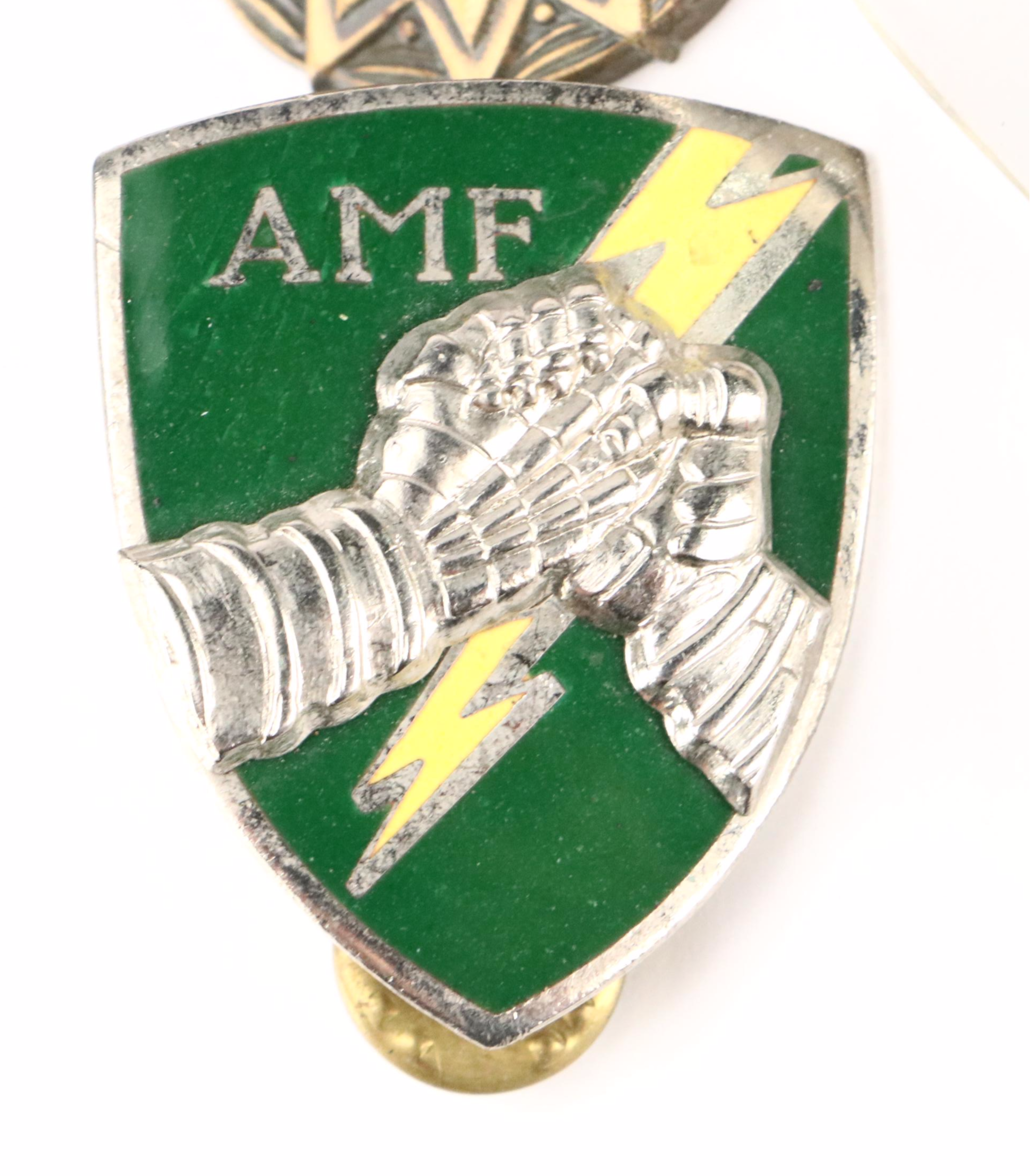 World War II Era with Other Military Badges, Insignias and More