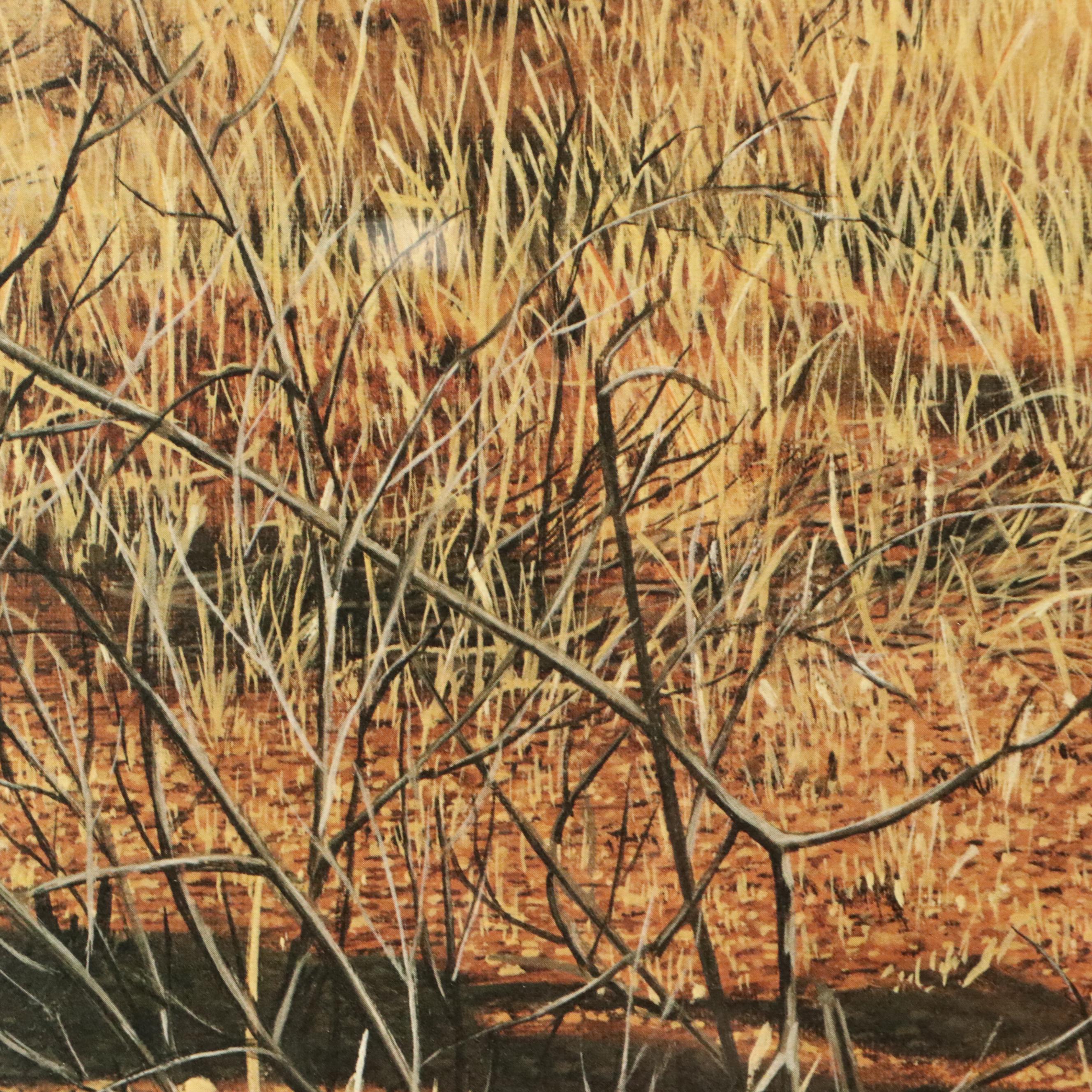 Charles Fracé Offset Lithograph "Cheetah," 20th Century