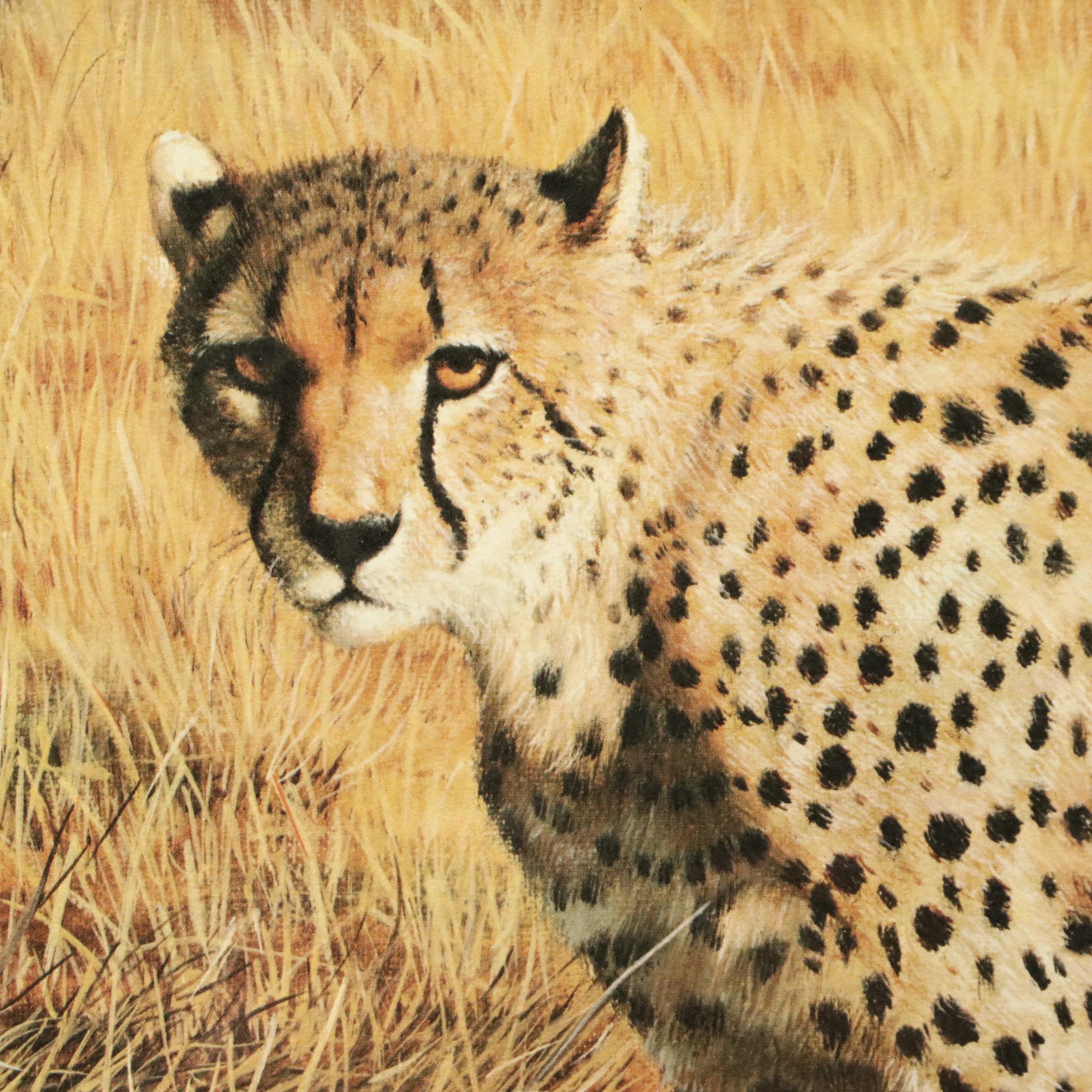 Charles Fracé Offset Lithograph "Cheetah," 20th Century