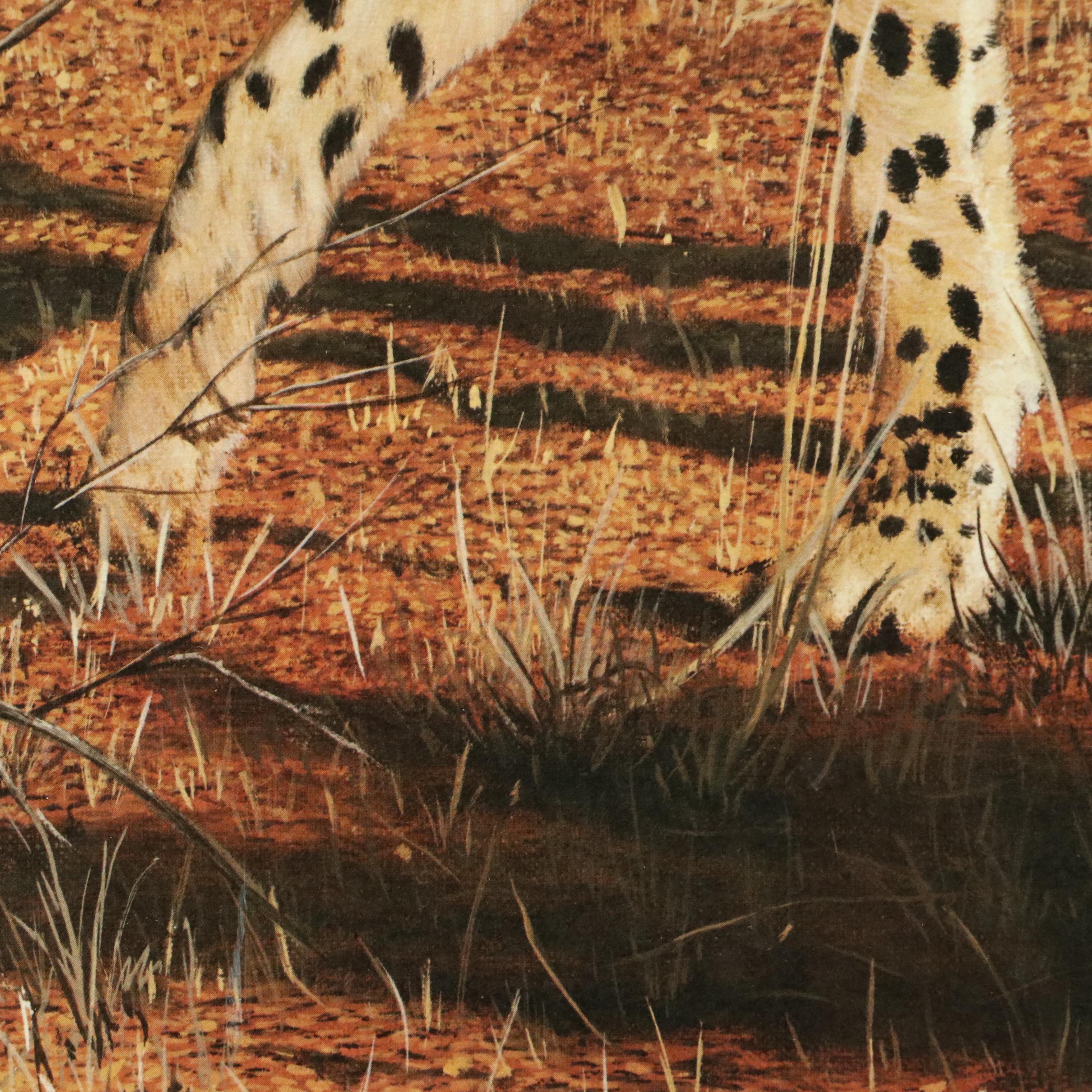 Charles Fracé Offset Lithograph "Cheetah," 20th Century