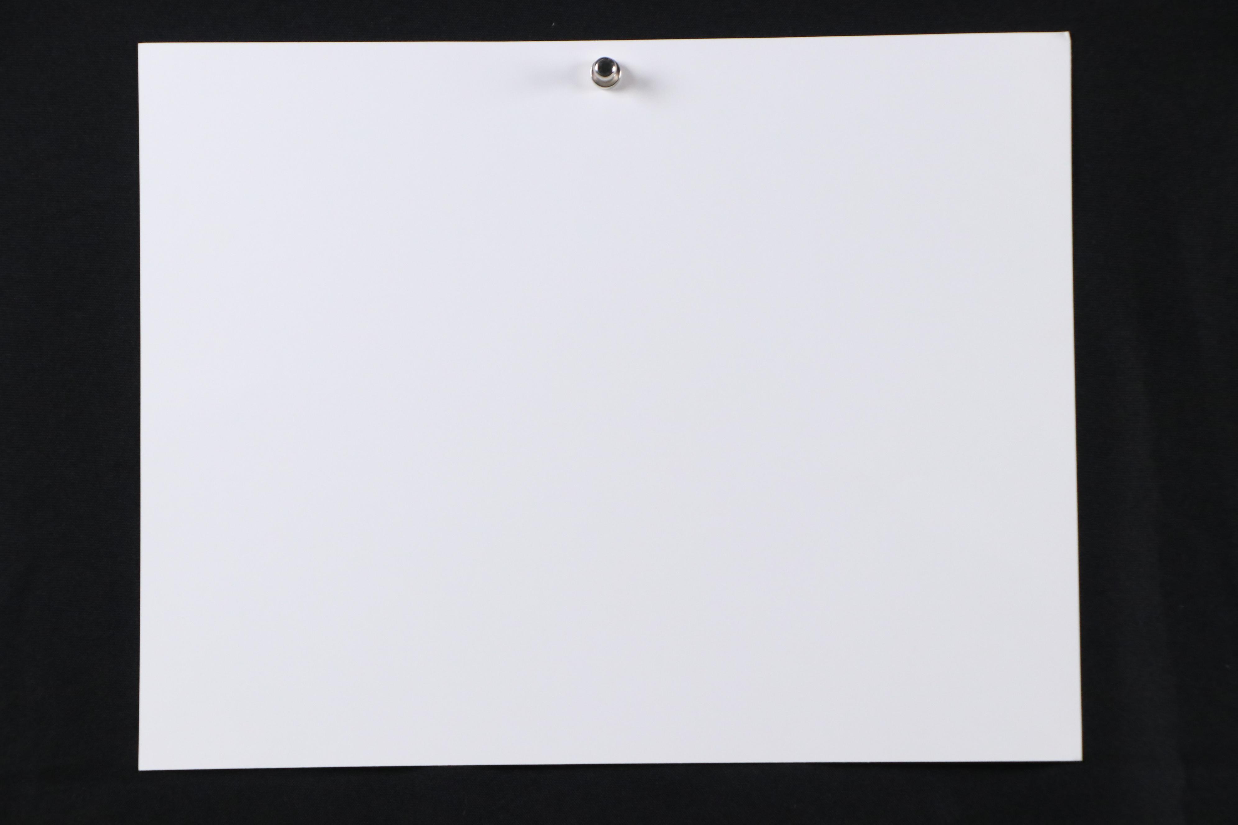 Flora Rosefsky Judaic Photomechanical Print "Fall Festival's Florage," 1992