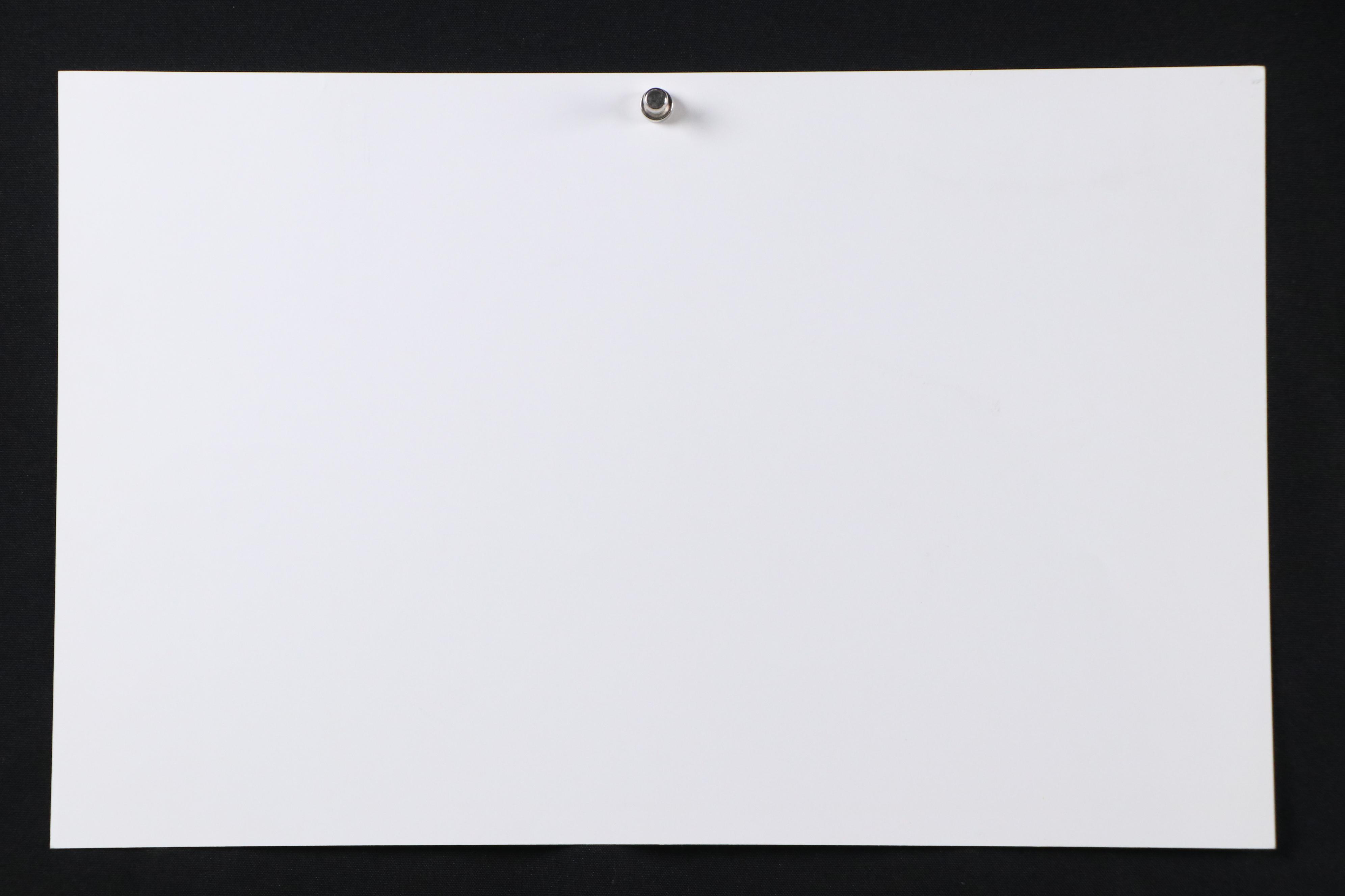 Flora Rosefsky Judaic Photomechanical Print "Shabbat Florage," 1992