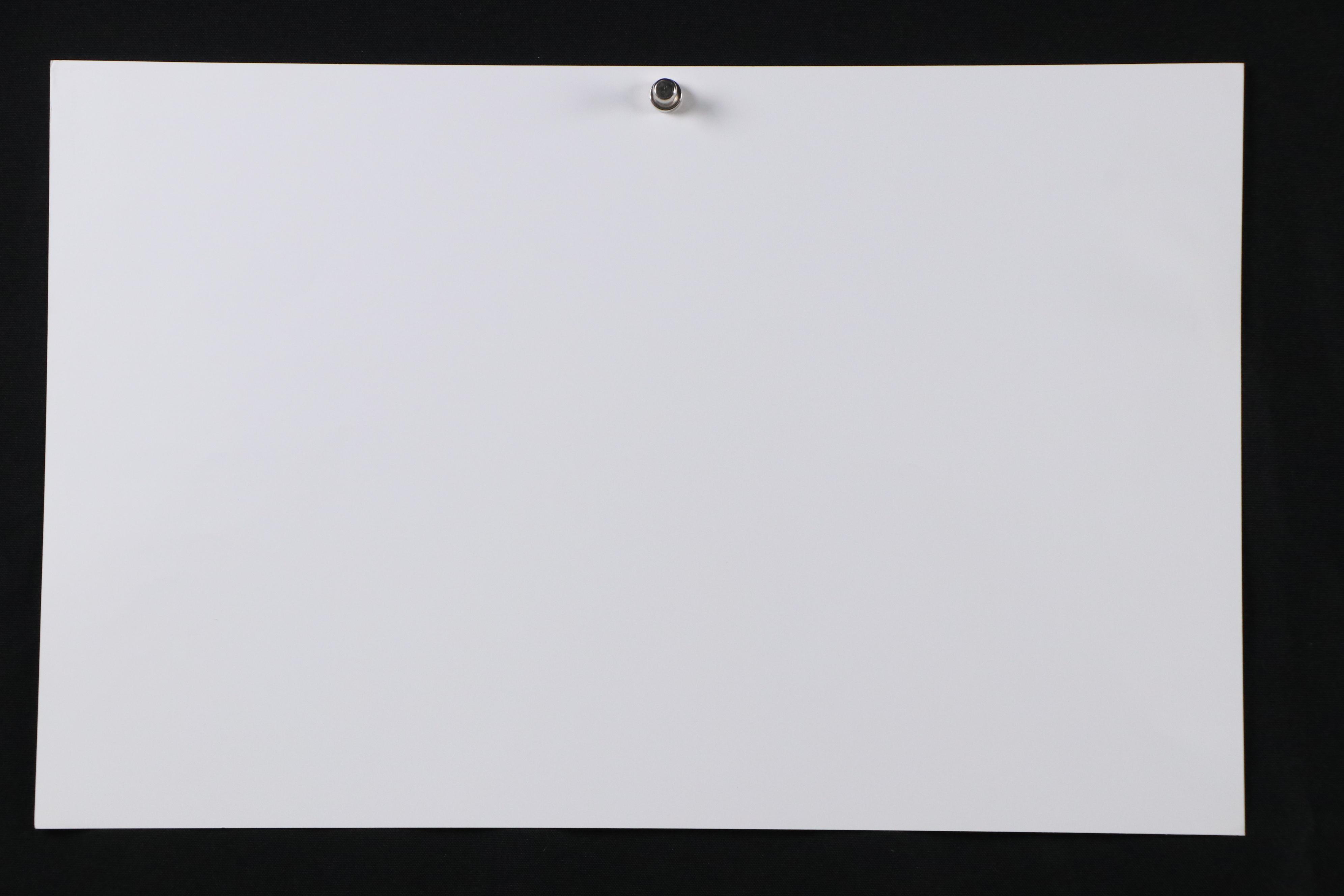 Flora Rosefsky Judaic Photomechanical Print "The Jewish Wedding Florage," 1997