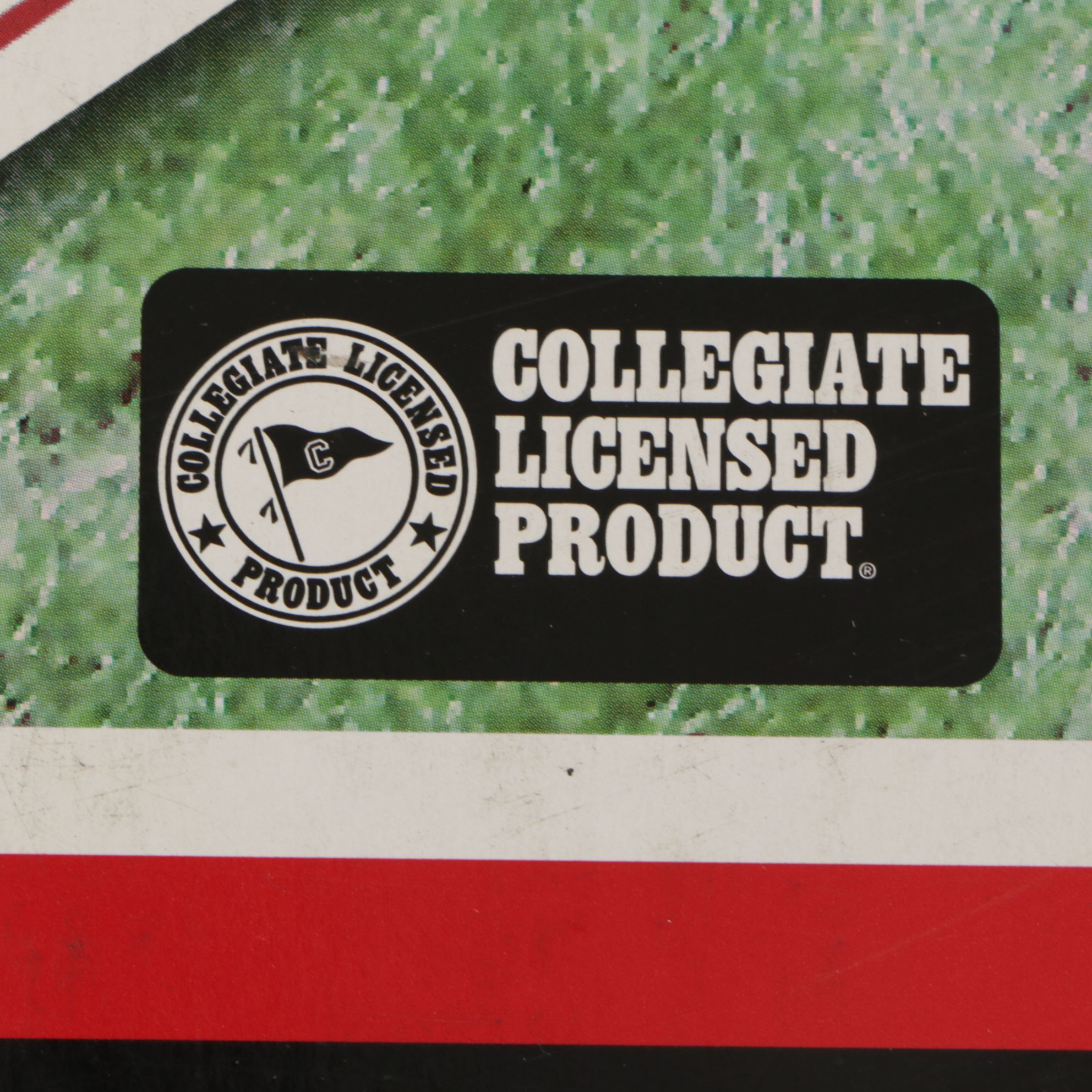 Ohio State Buckeyes Indoor/Outdoor Corn Hole Game