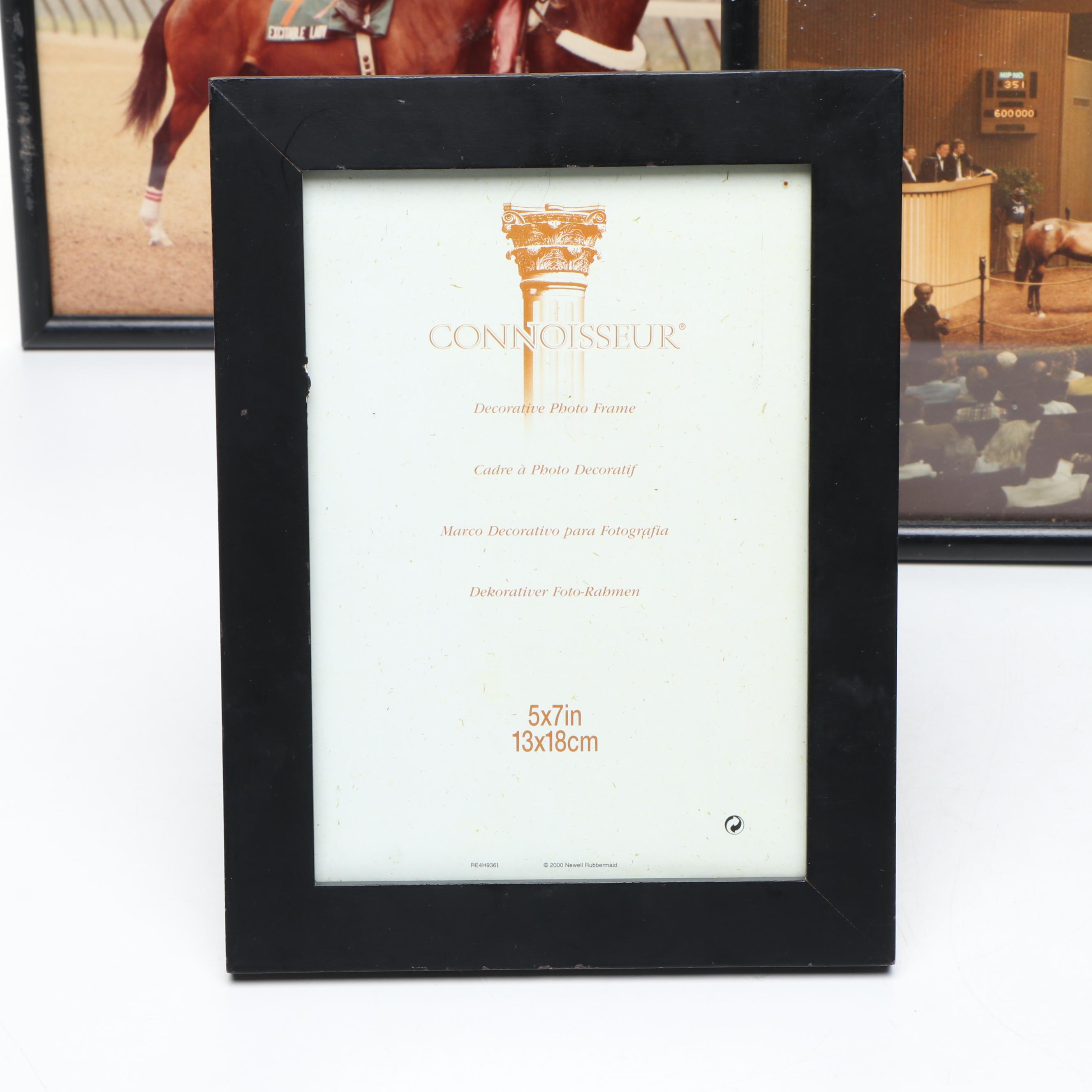 Excitable Lady Keeneland Sale Photo & Pre-Race Candid, Horse Show Arena