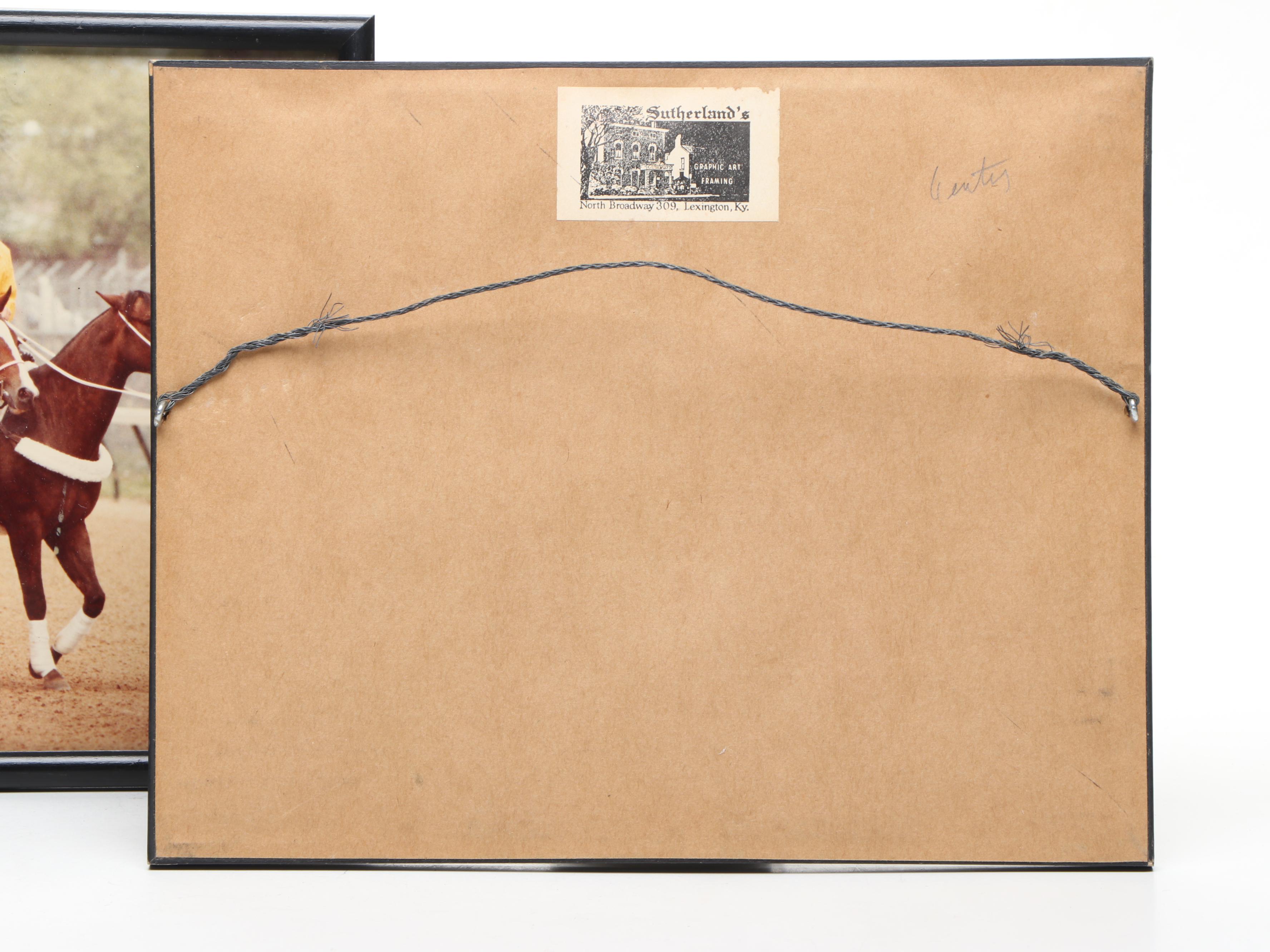 Excitable Lady Keeneland Sale Photo & Pre-Race Candid, Horse Show Arena