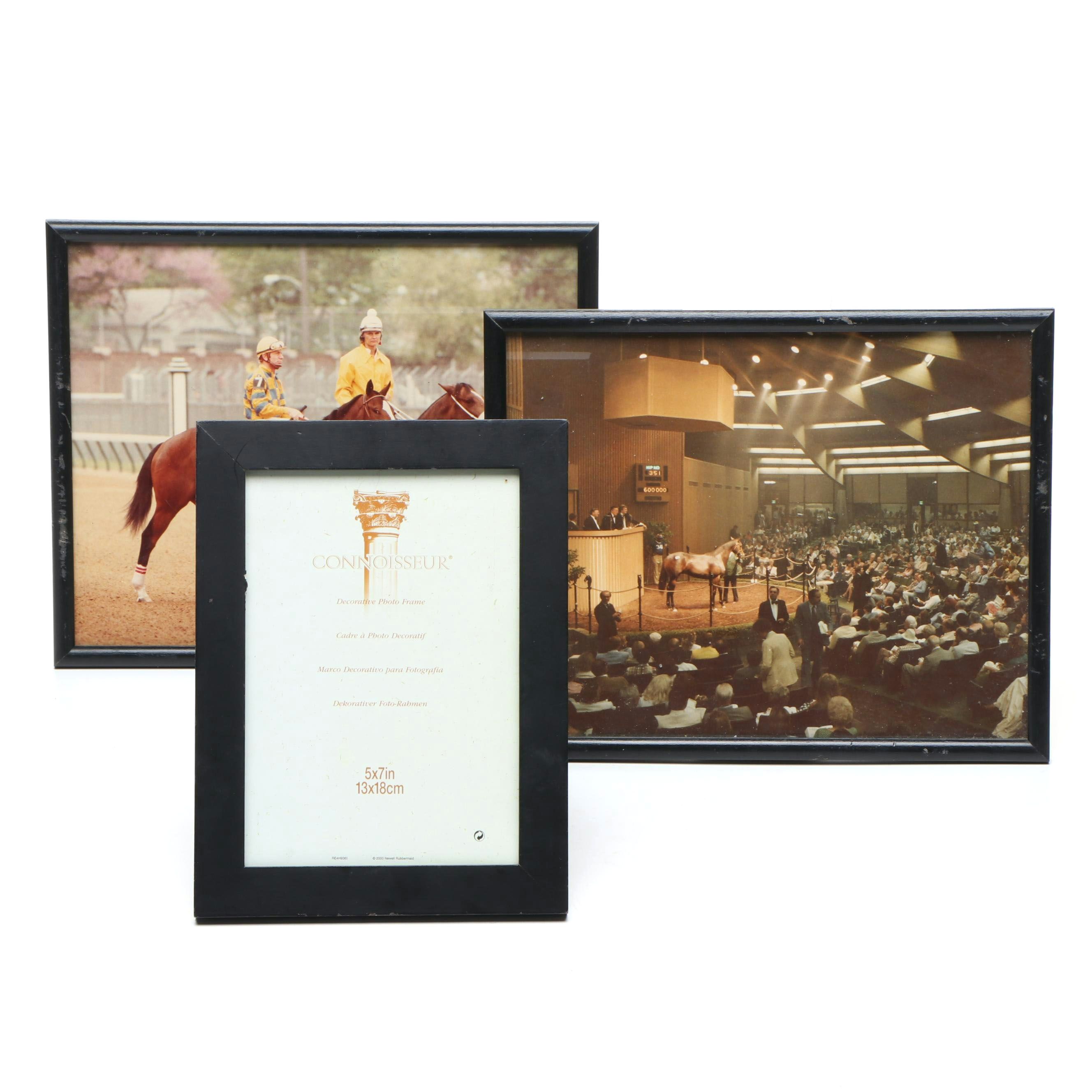 Excitable Lady Keeneland Sale Photo & Pre-Race Candid, Horse Show Arena