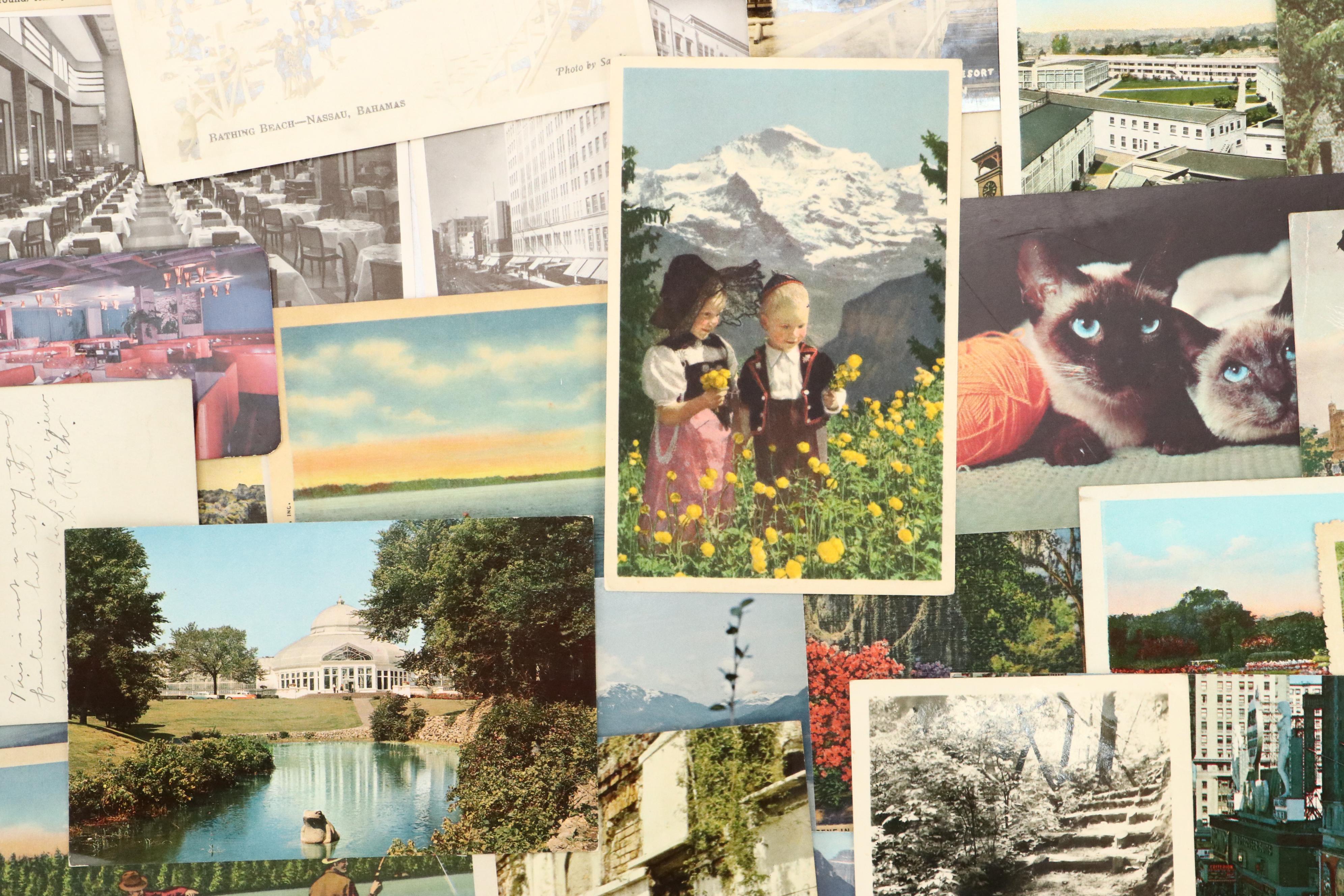 Maryland with Other Souvenir Postcards, Pocket Book and More Ephemera