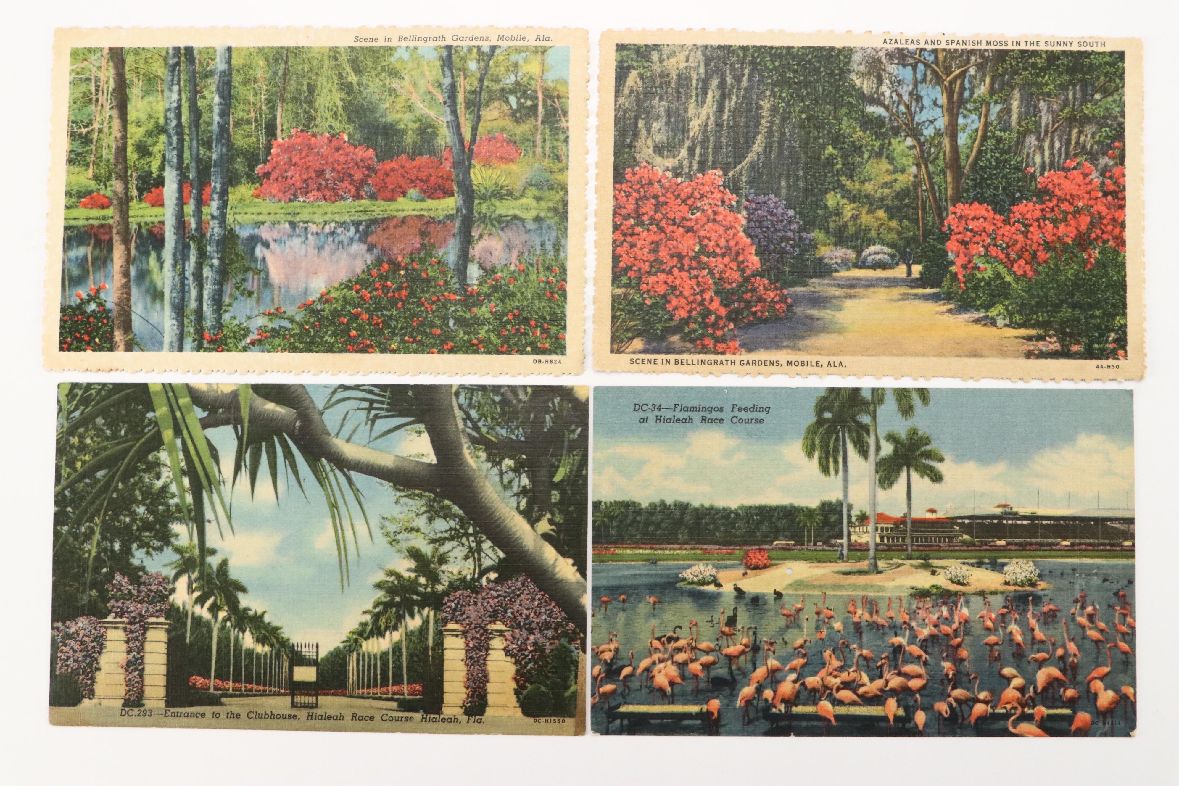 Maryland with Other Souvenir Postcards, Pocket Book and More Ephemera