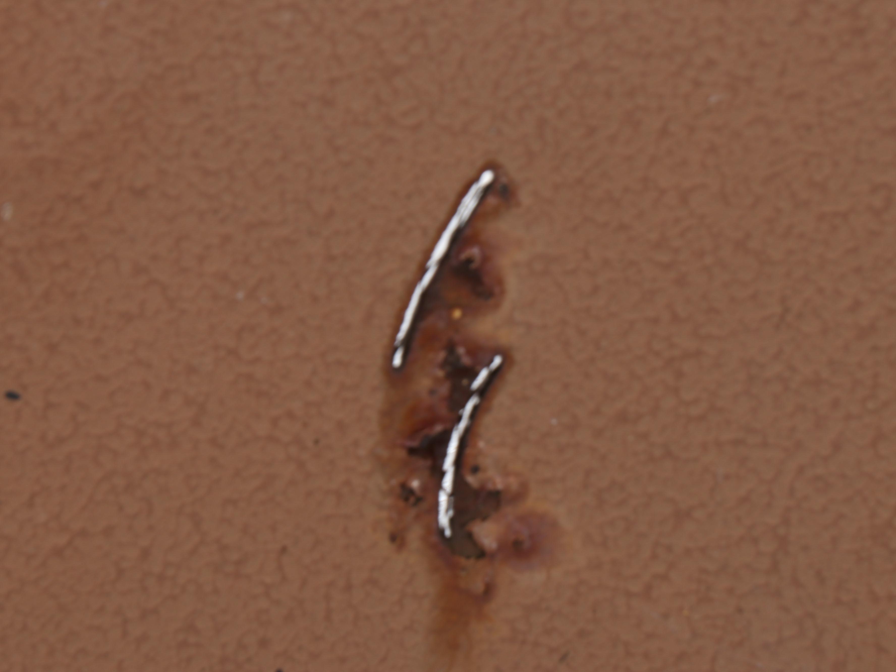 Dog and Squirrel Crossing Metal Garden Sculptures