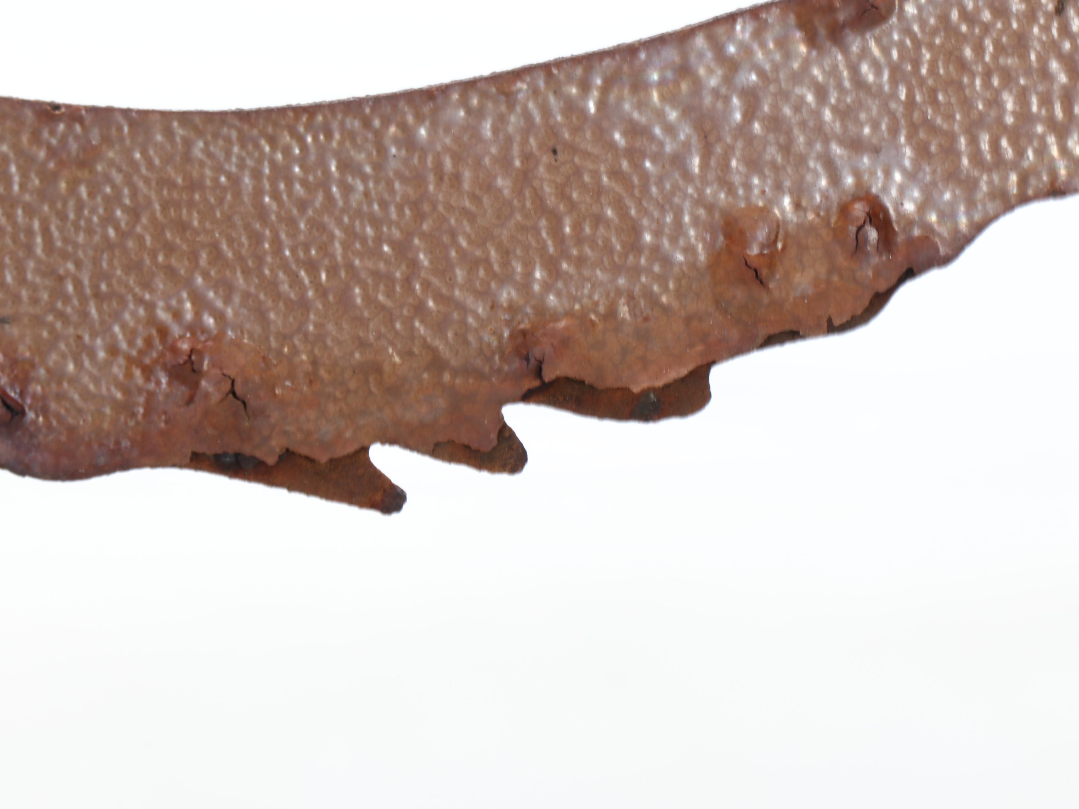 Dog and Squirrel Crossing Metal Garden Sculptures