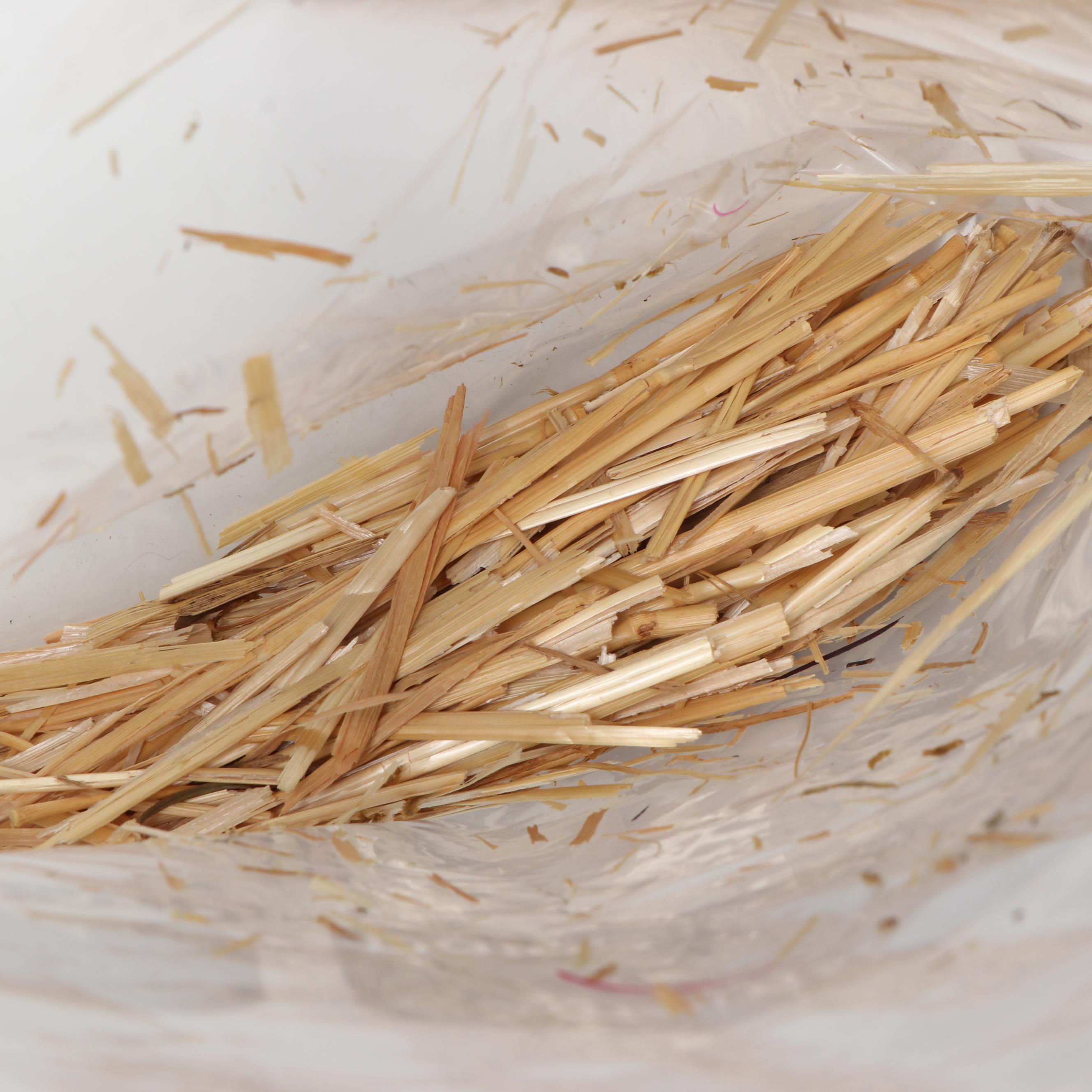 Fontanini Baby Jesus and Carved Olive Wood Nativity Scene