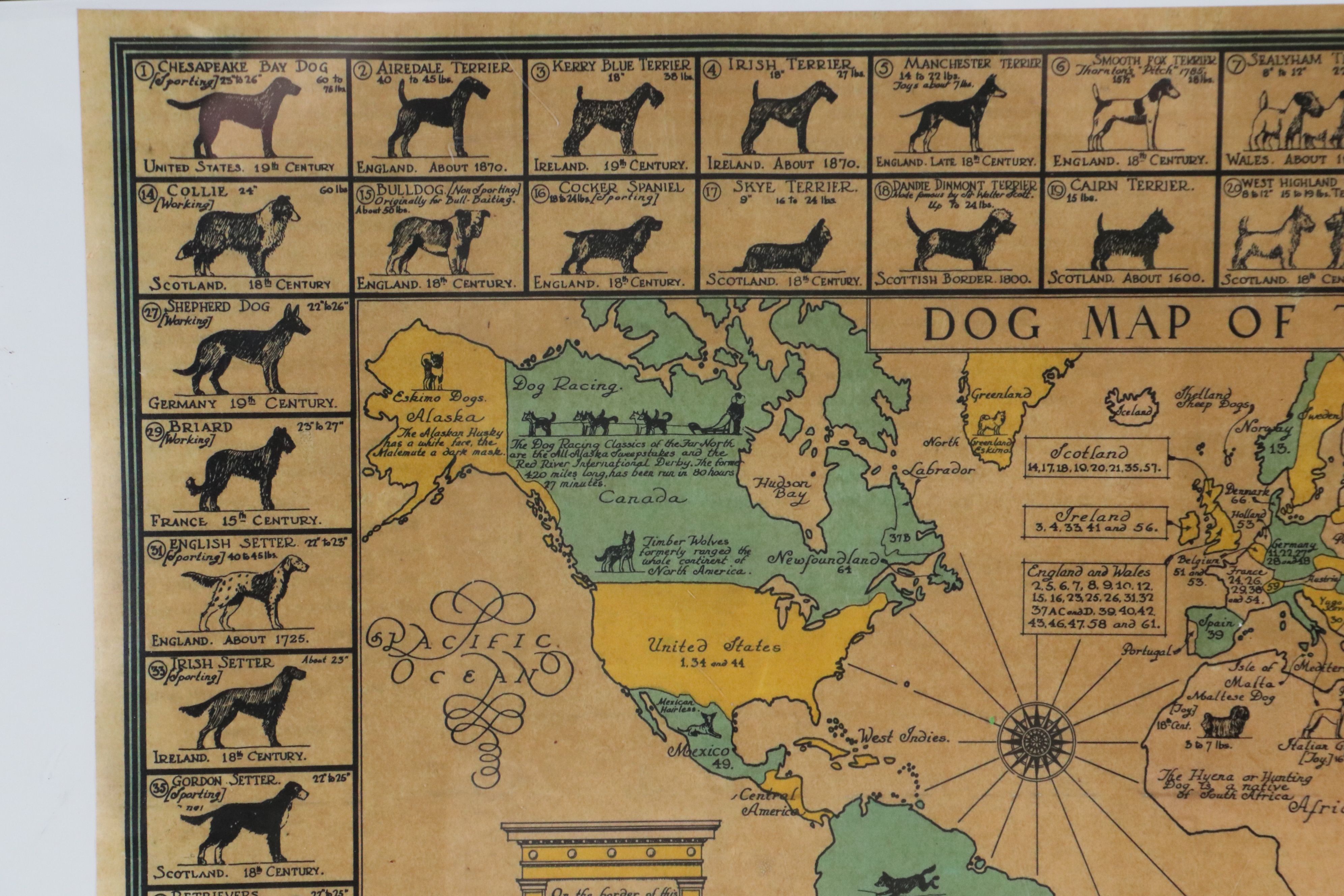 AKC "Dog Map of the World" Lithograph Poster After Joseph P. Sims
