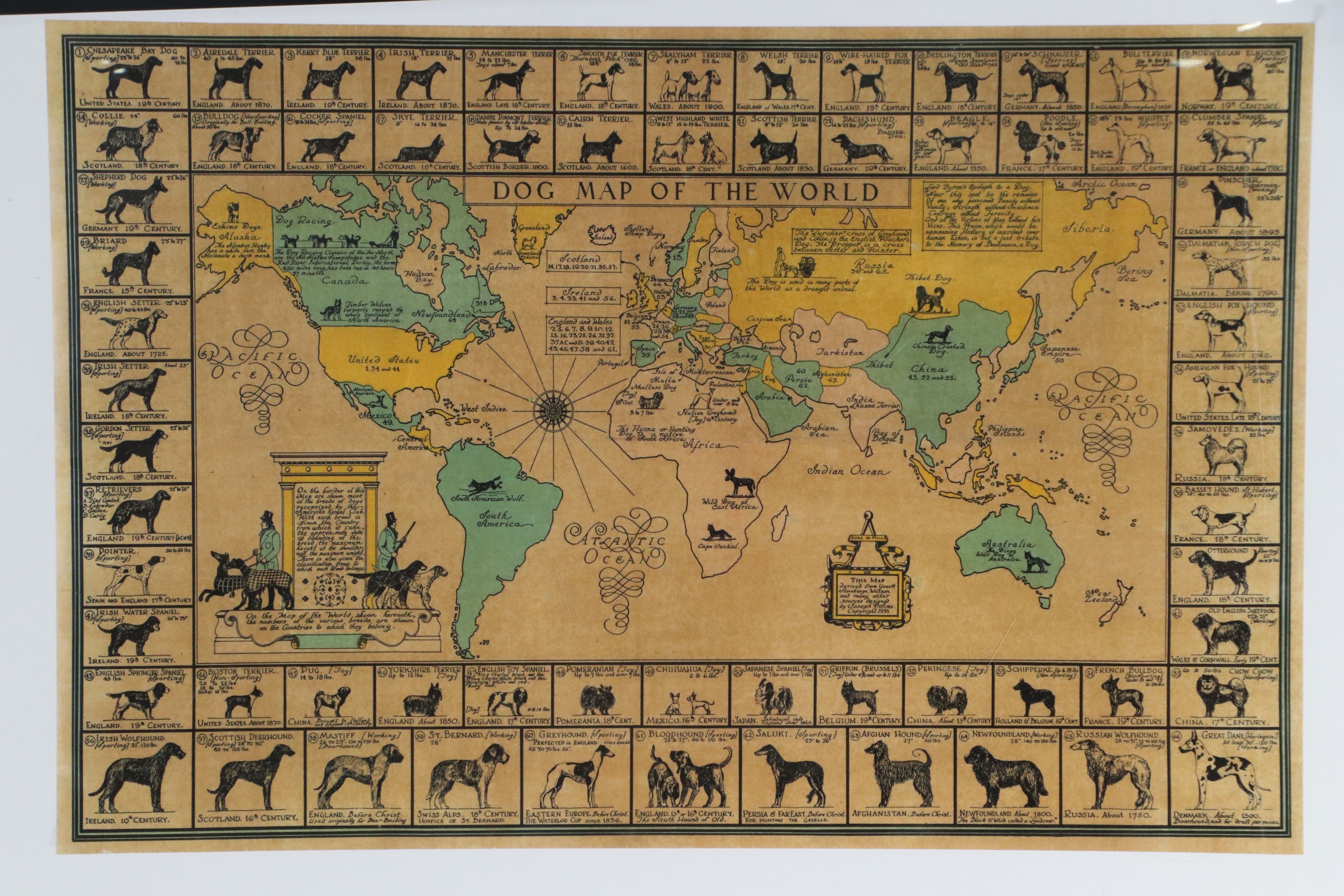 AKC "Dog Map of the World" Lithograph Poster After Joseph P. Sims