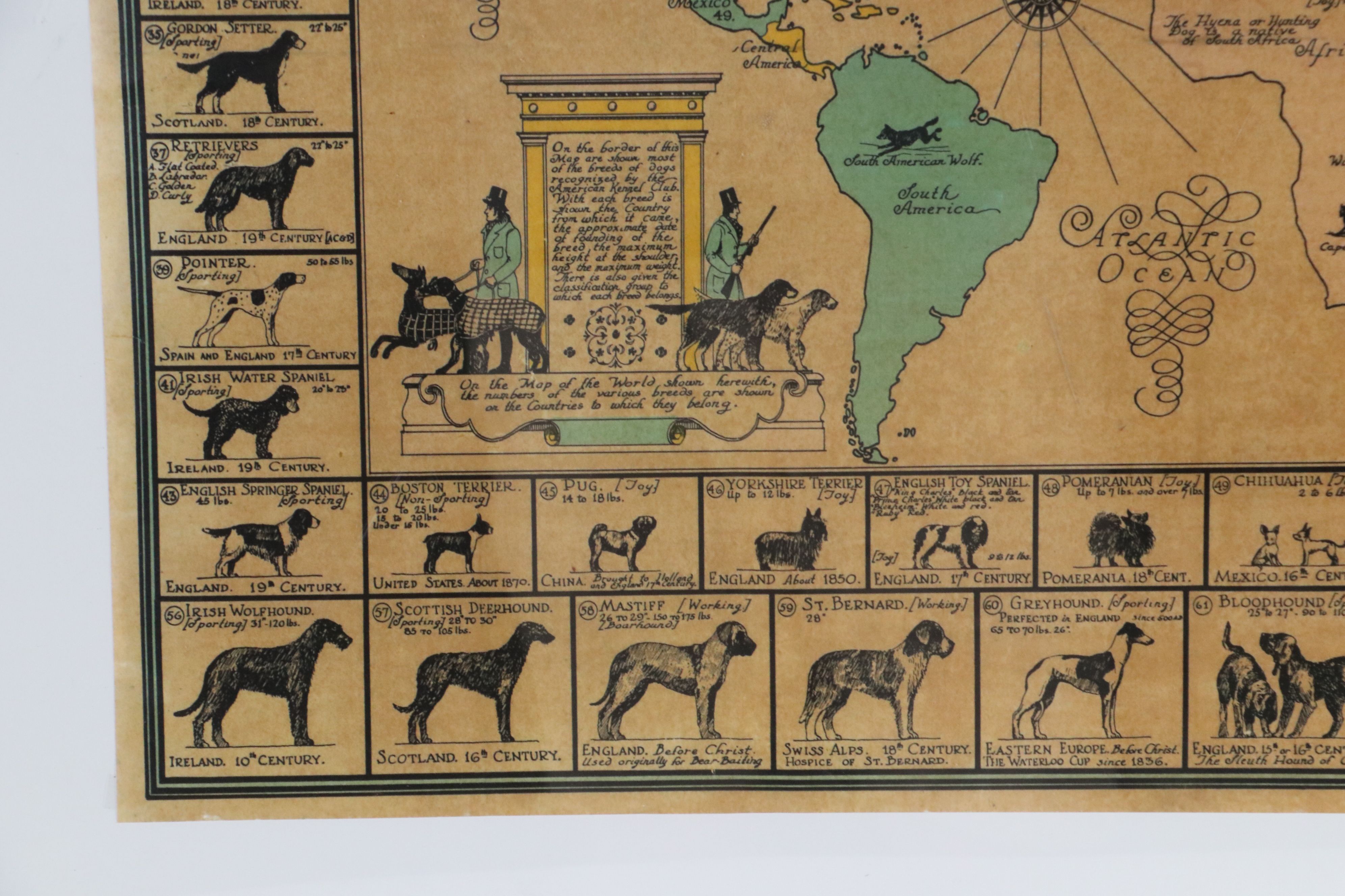 AKC "Dog Map of the World" Lithograph Poster After Joseph P. Sims