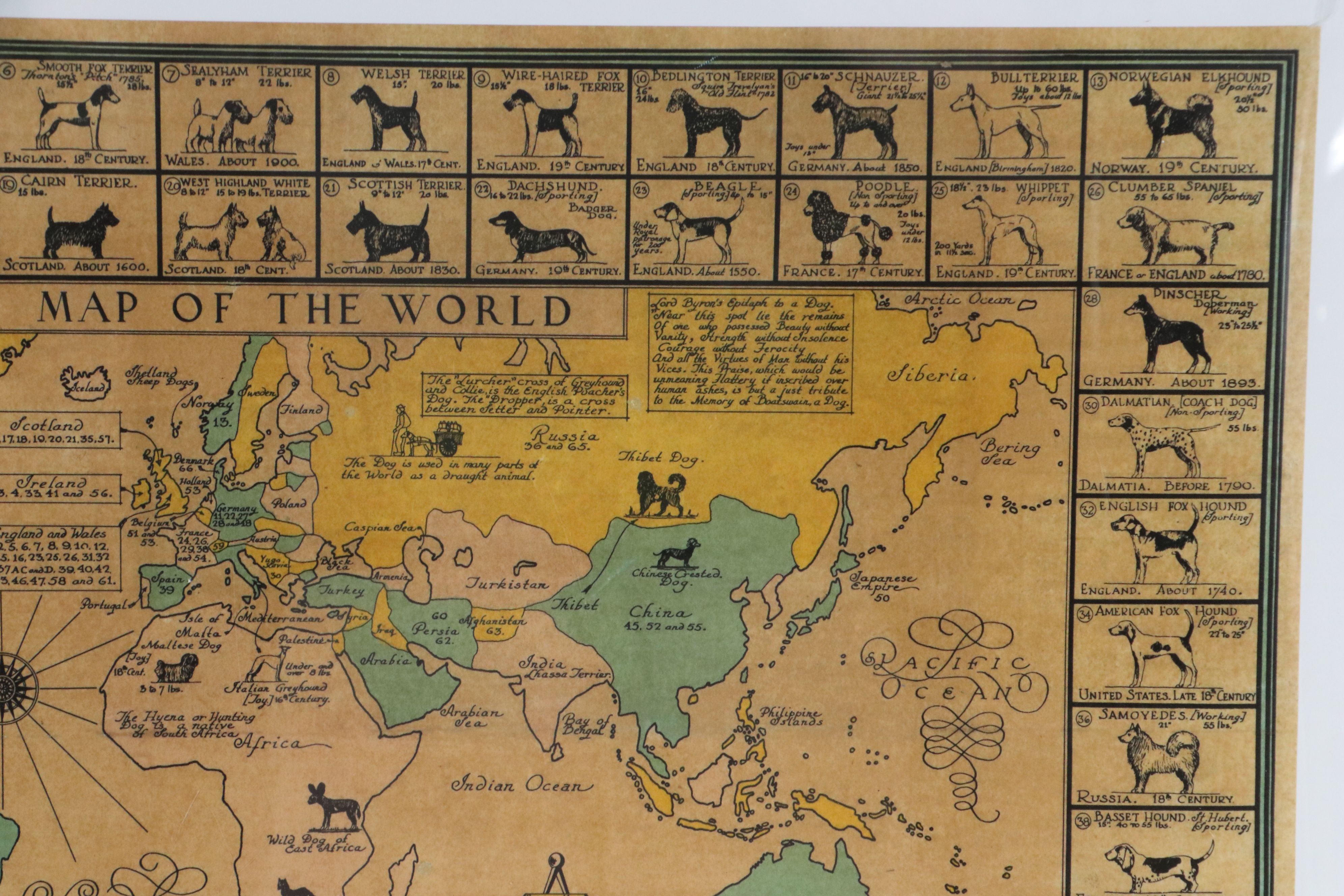 AKC "Dog Map of the World" Lithograph Poster After Joseph P. Sims