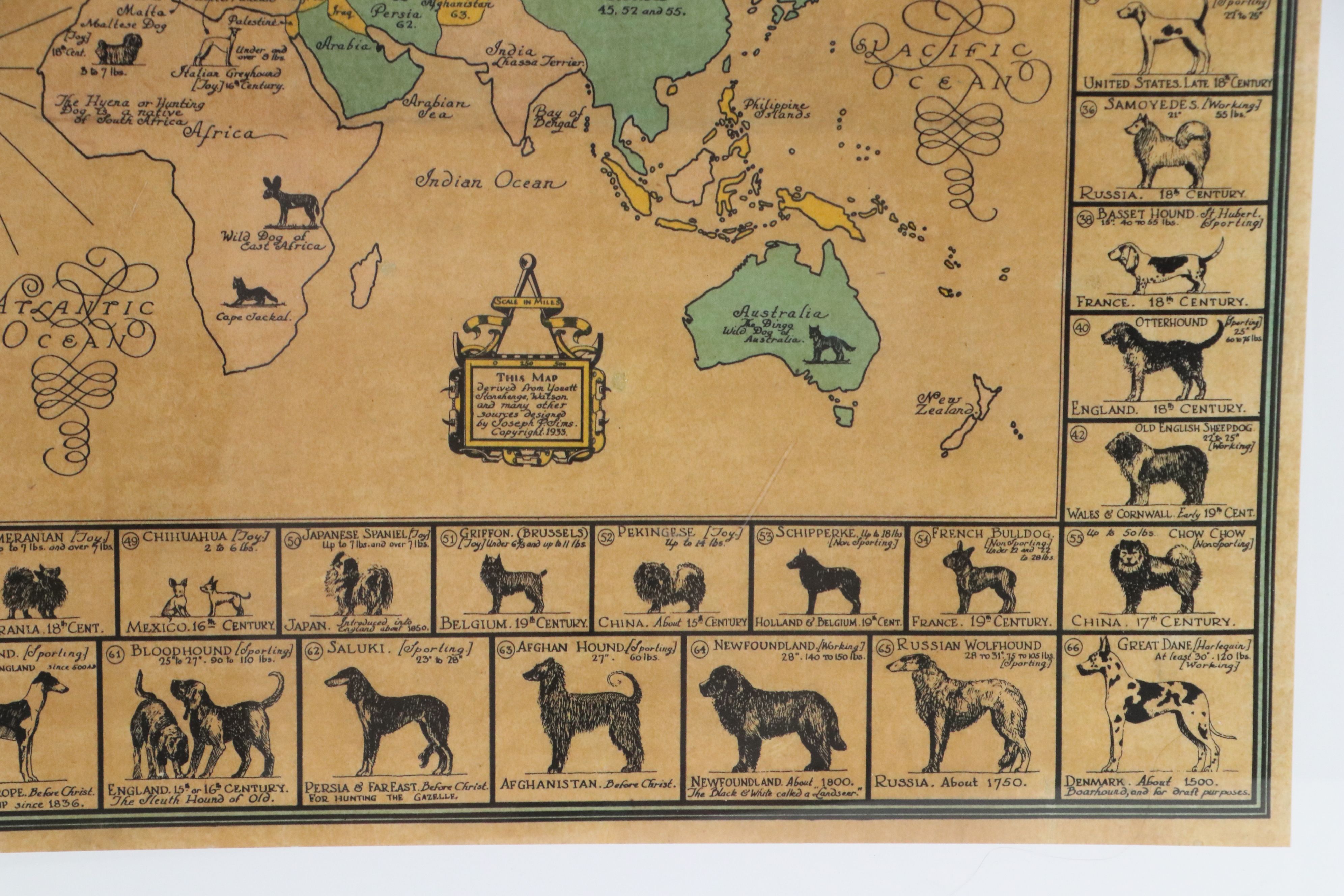 AKC "Dog Map of the World" Lithograph Poster After Joseph P. Sims