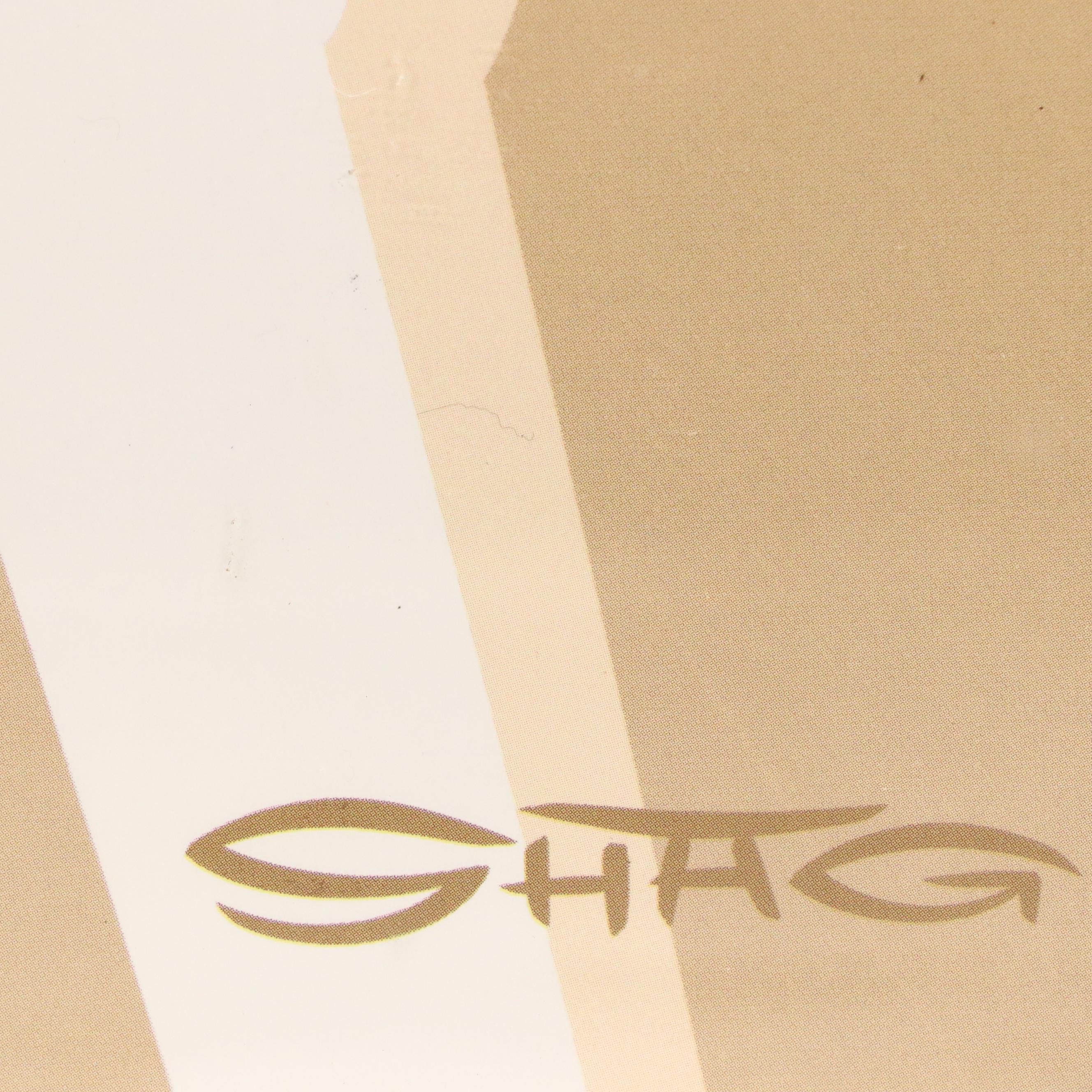 Josh "Shag" Agle Halftone Poster for Modernism Week 2022