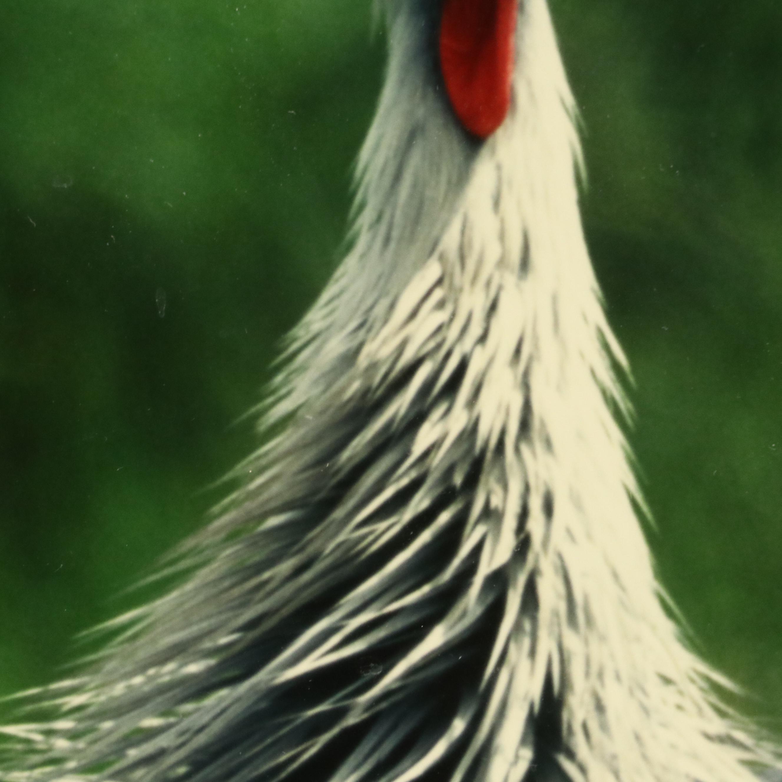 Bradley Donley Color Photograph "Crown Crane," 1999
