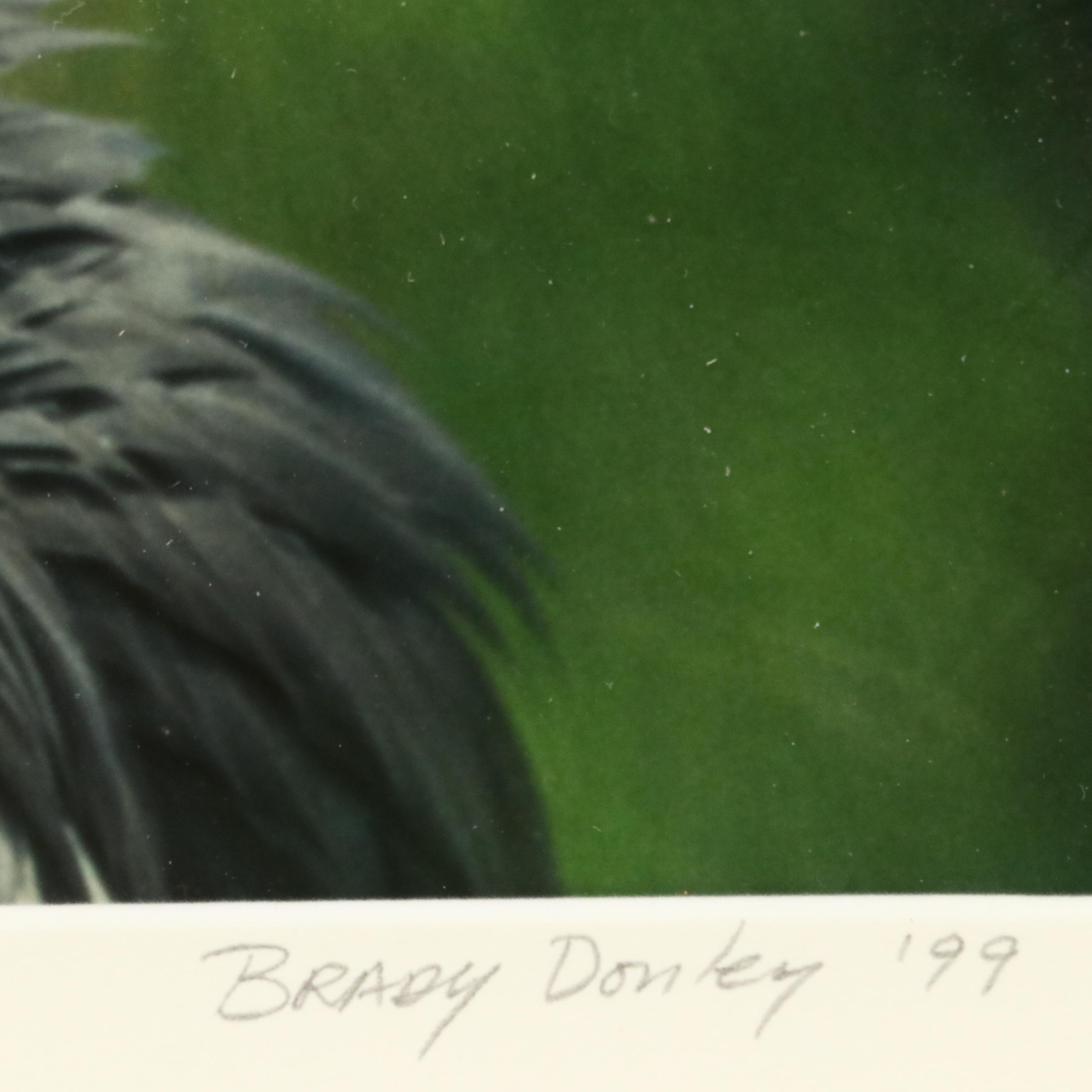 Bradley Donley Color Photograph "Crown Crane," 1999