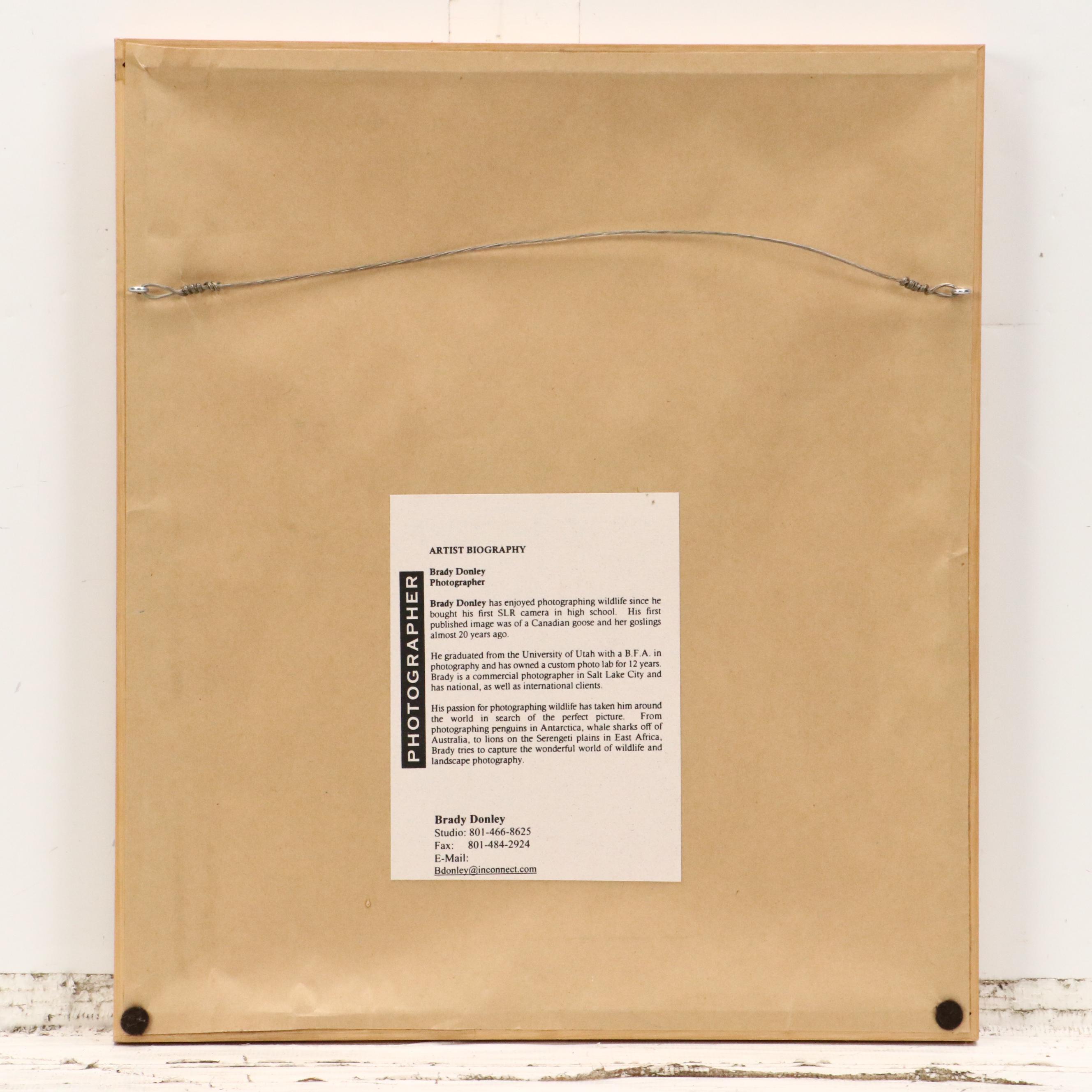 Bradley Donley Color Photograph "Crown Crane," 1999