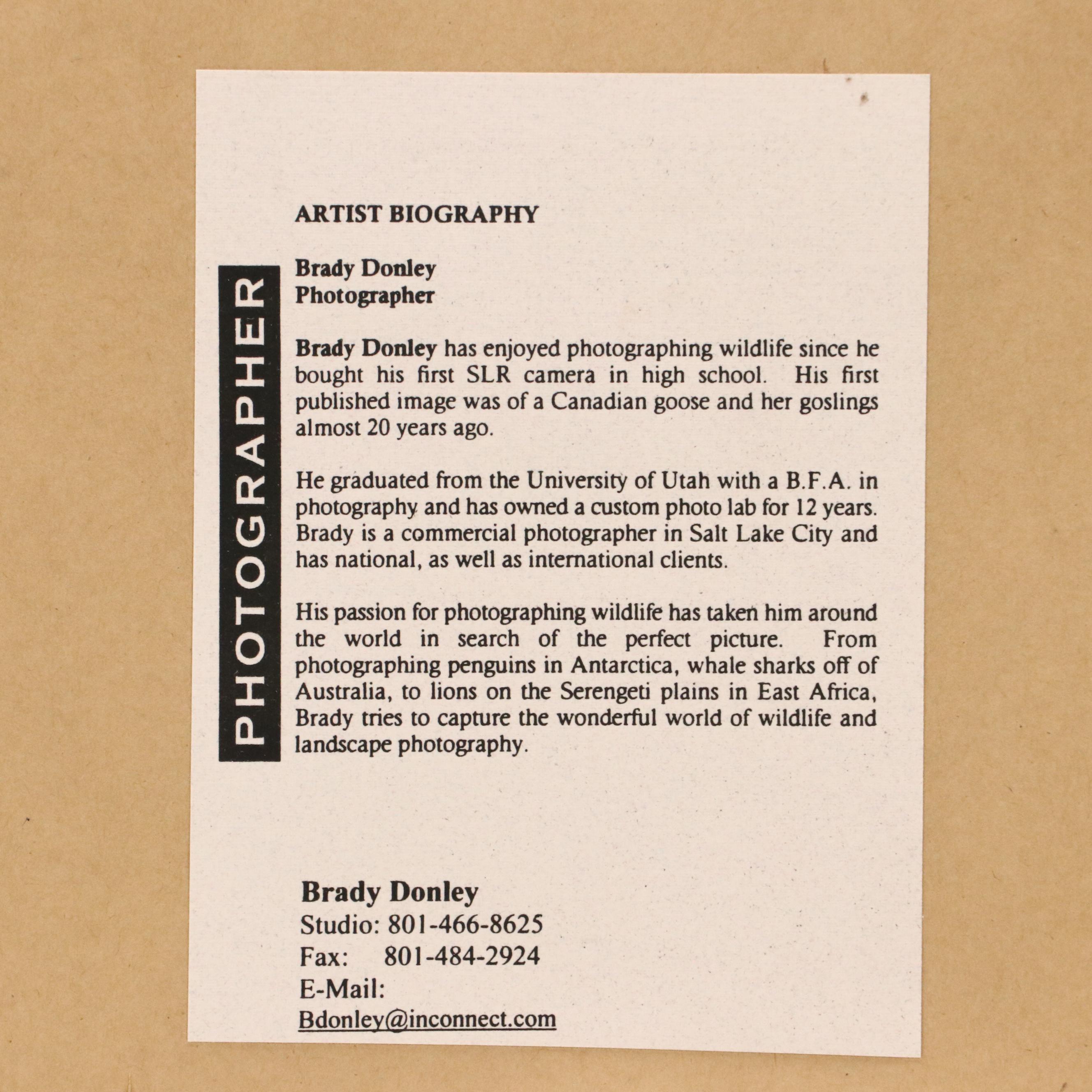 Bradley Donley Color Photograph "Crown Crane," 1999