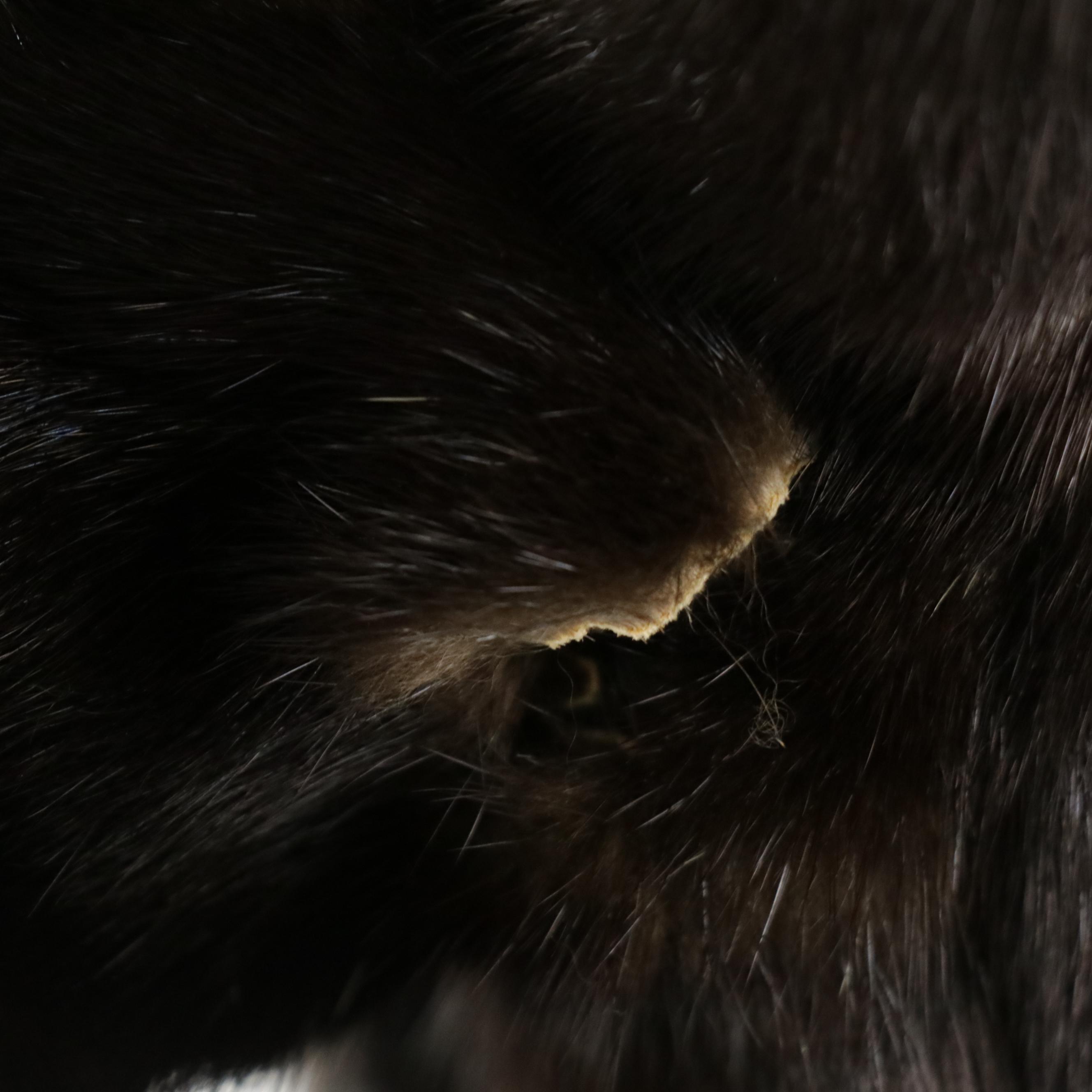 Vintage Revillon Black Diamond Mink Fur Coat and Adolfo Mink Fur Cap