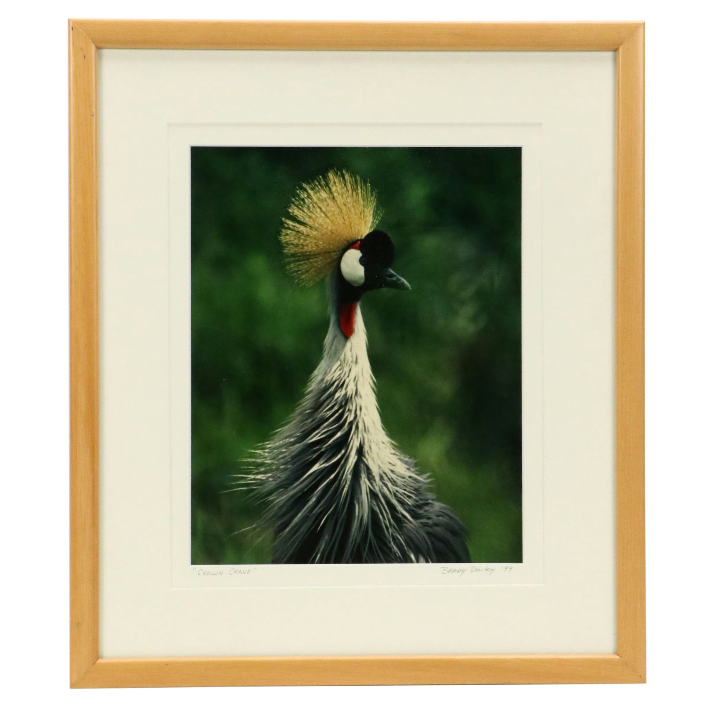 Bradley Donley Color Photograph "Crown Crane," 1999