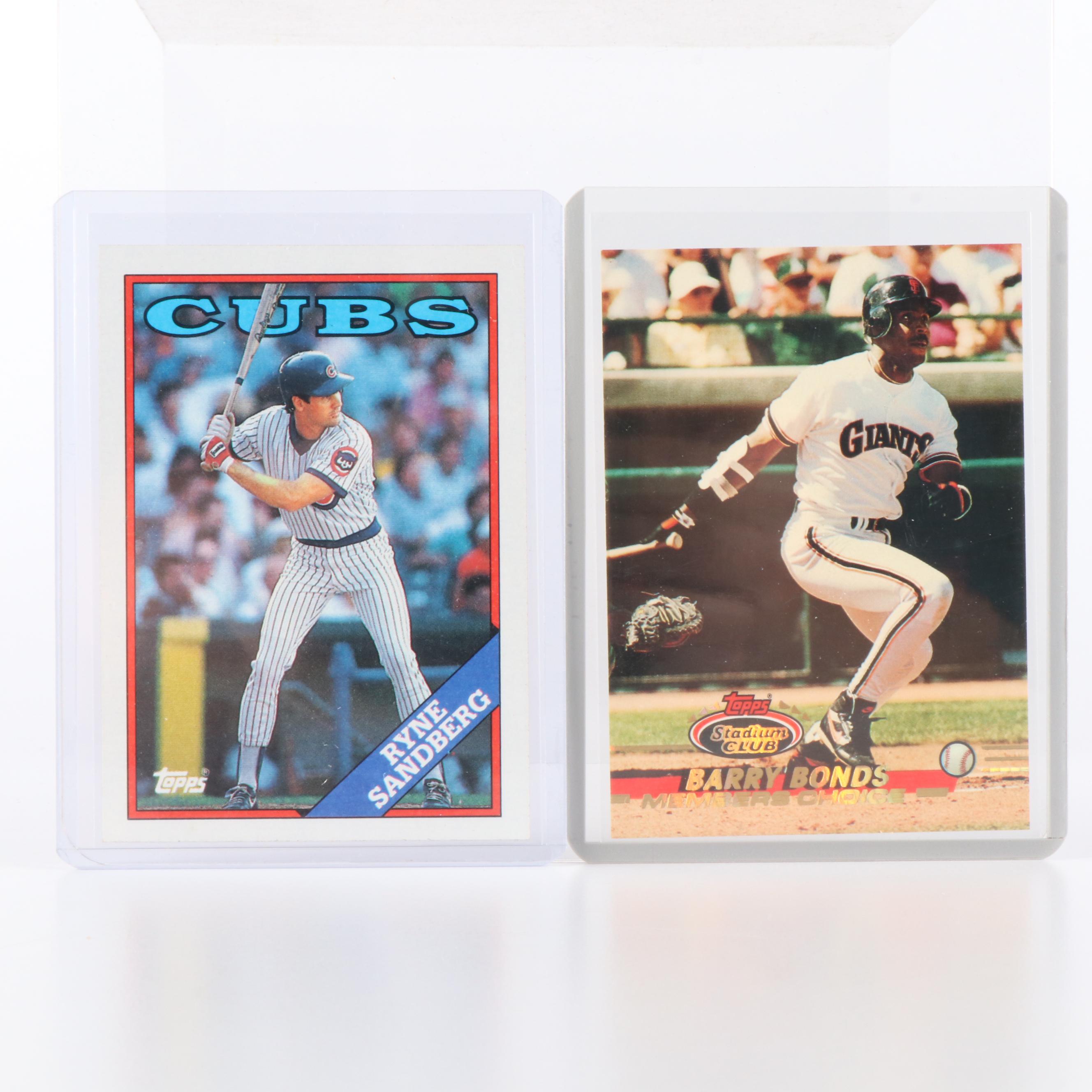 5,000 Mint Condition Baseball Cards