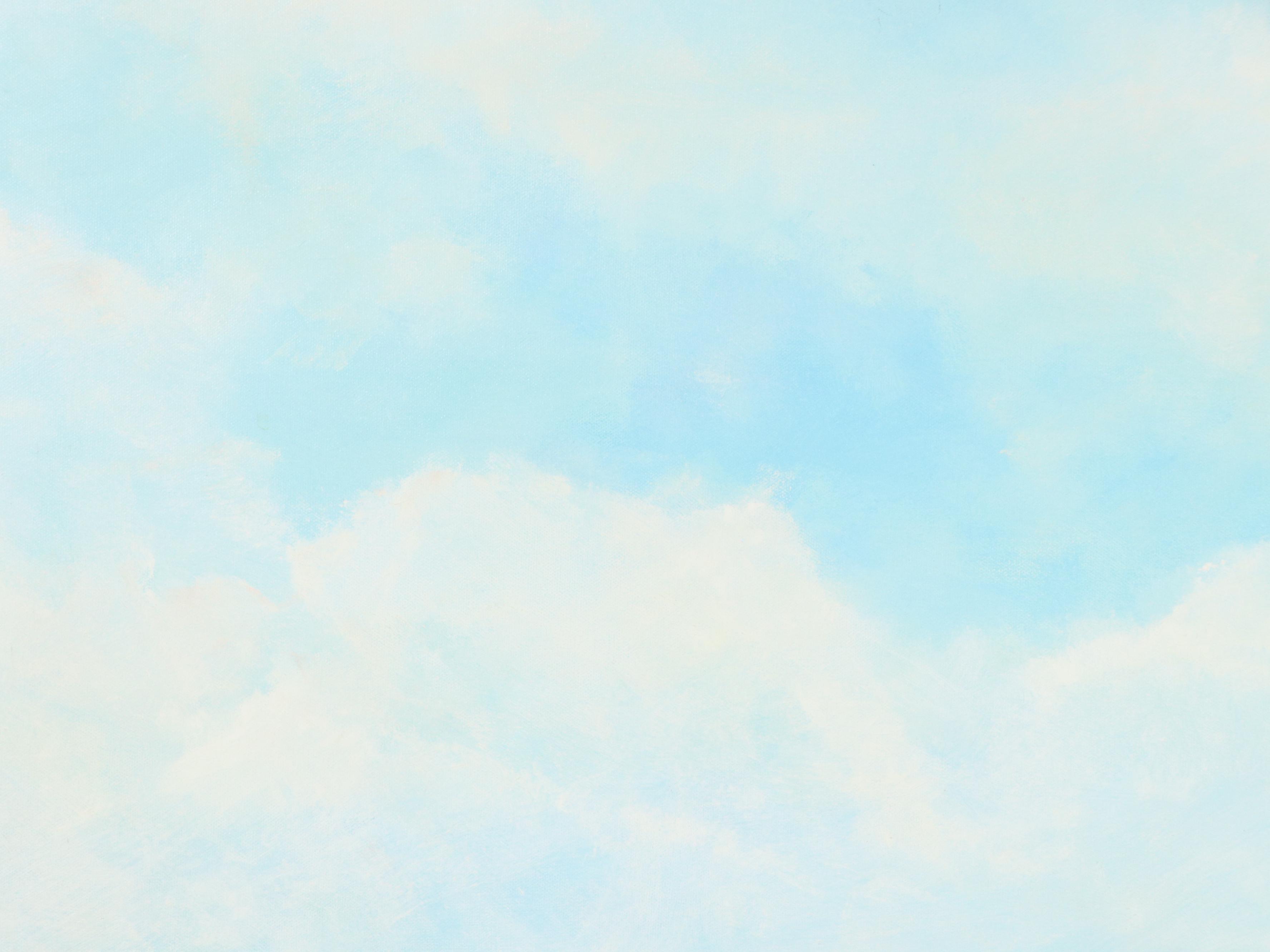 Ruth W. Pritchard Sky Oil Painting with Huff-Daland Dusters Biplane